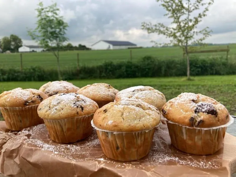 Enkegården Gårdshotell