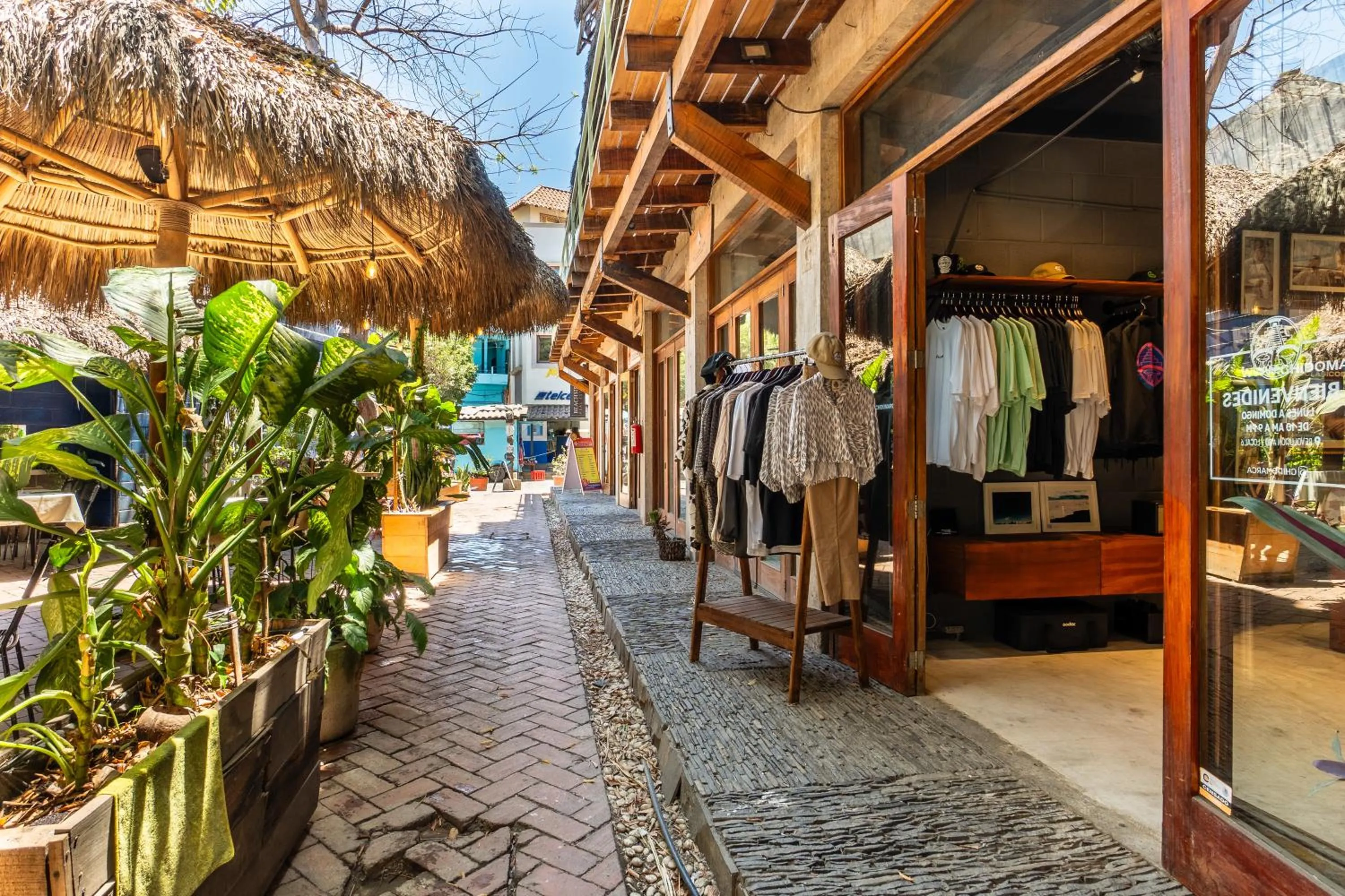 Property building in Papelillo Lofts