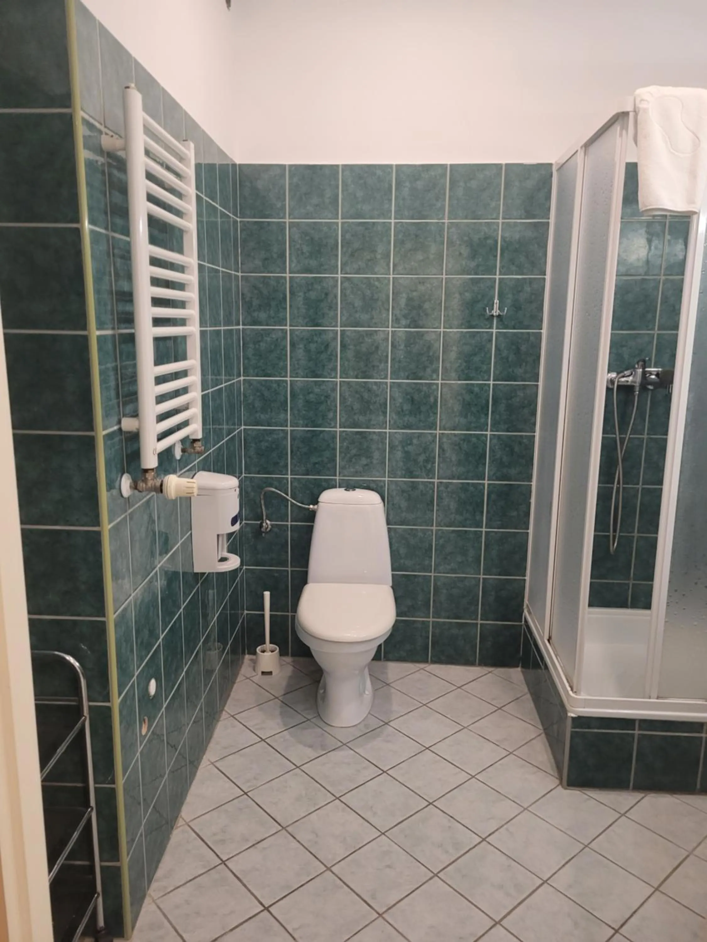 Shower in Artel Villa Tarsis