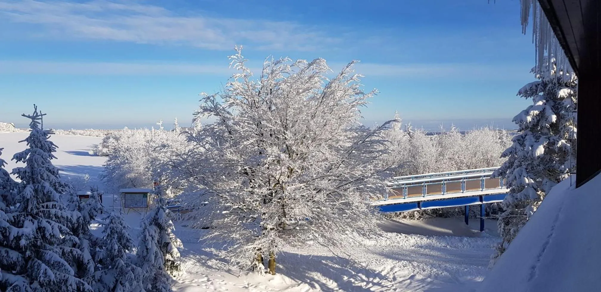 View (from property/room) in Hotel Pomezí