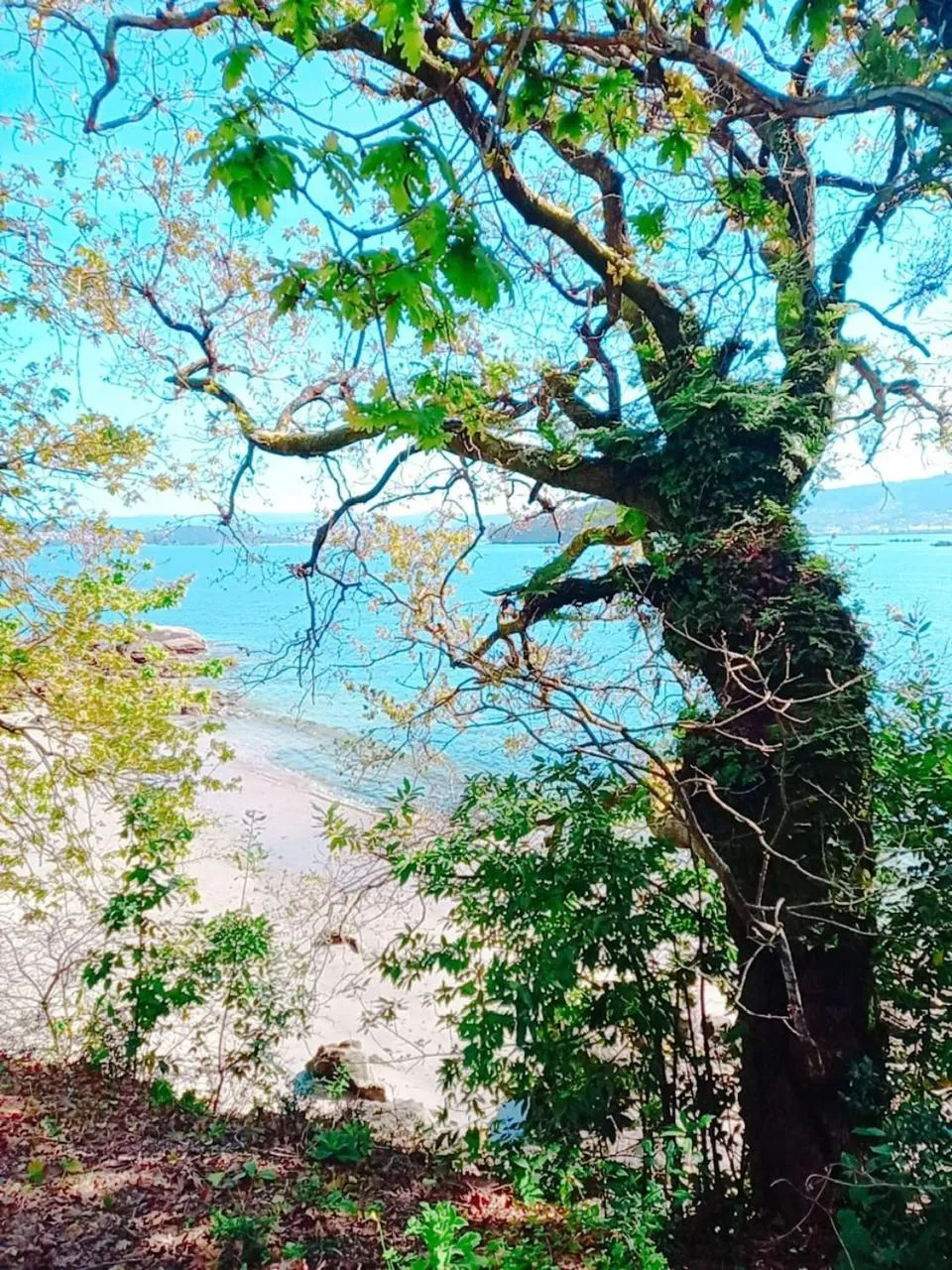 Natural landscape in HOTEL MAREA