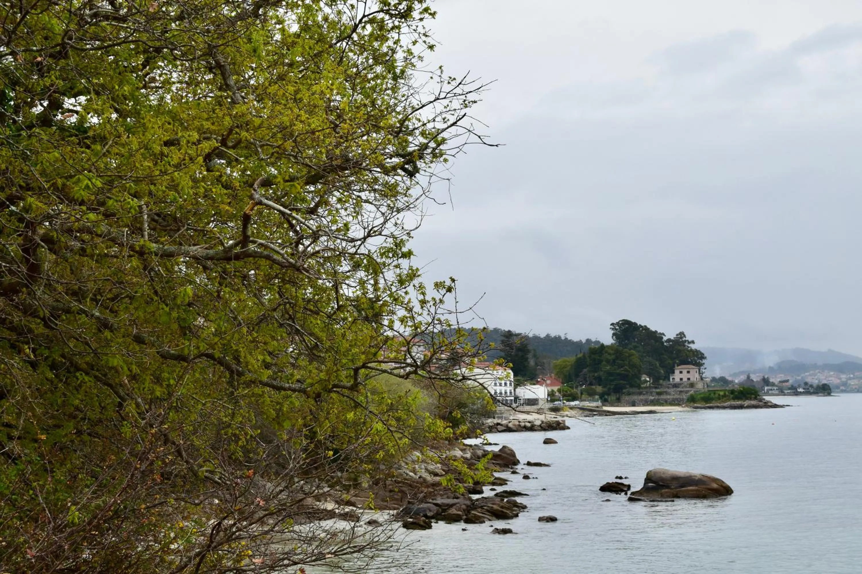 Natural landscape in HOTEL MAREA