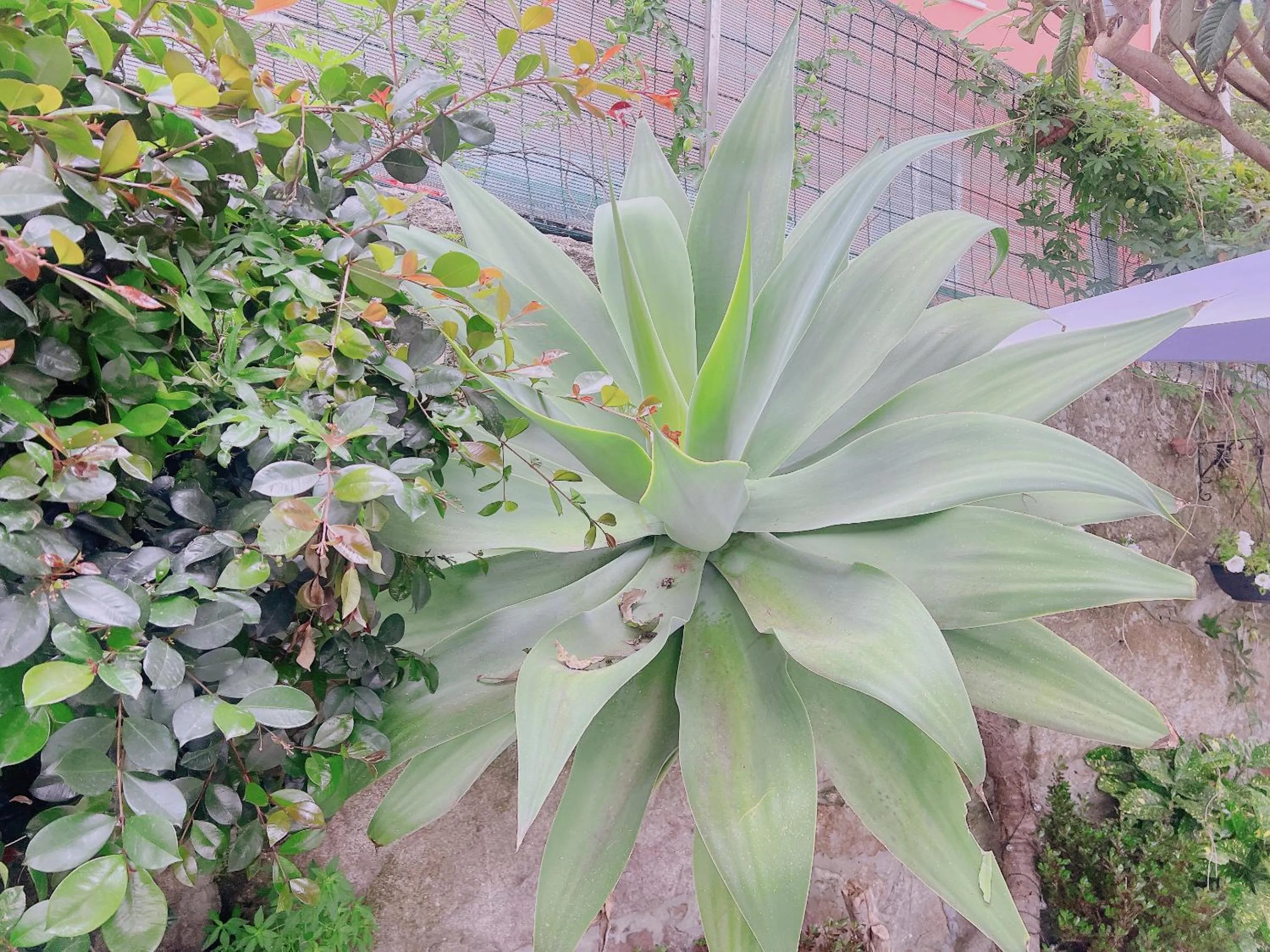 Spring in HOTEL MAREA