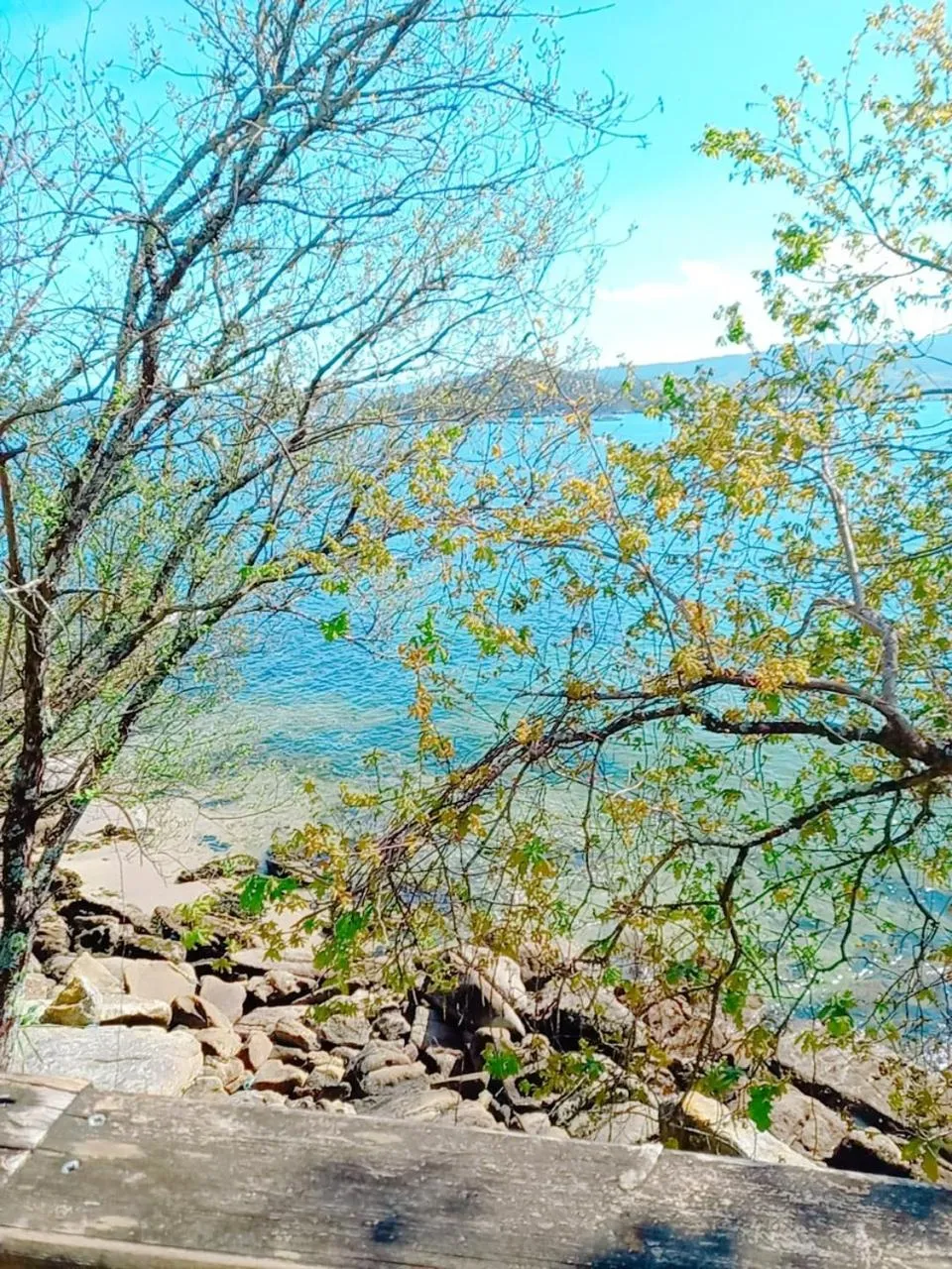 Sea view in HOTEL MAREA