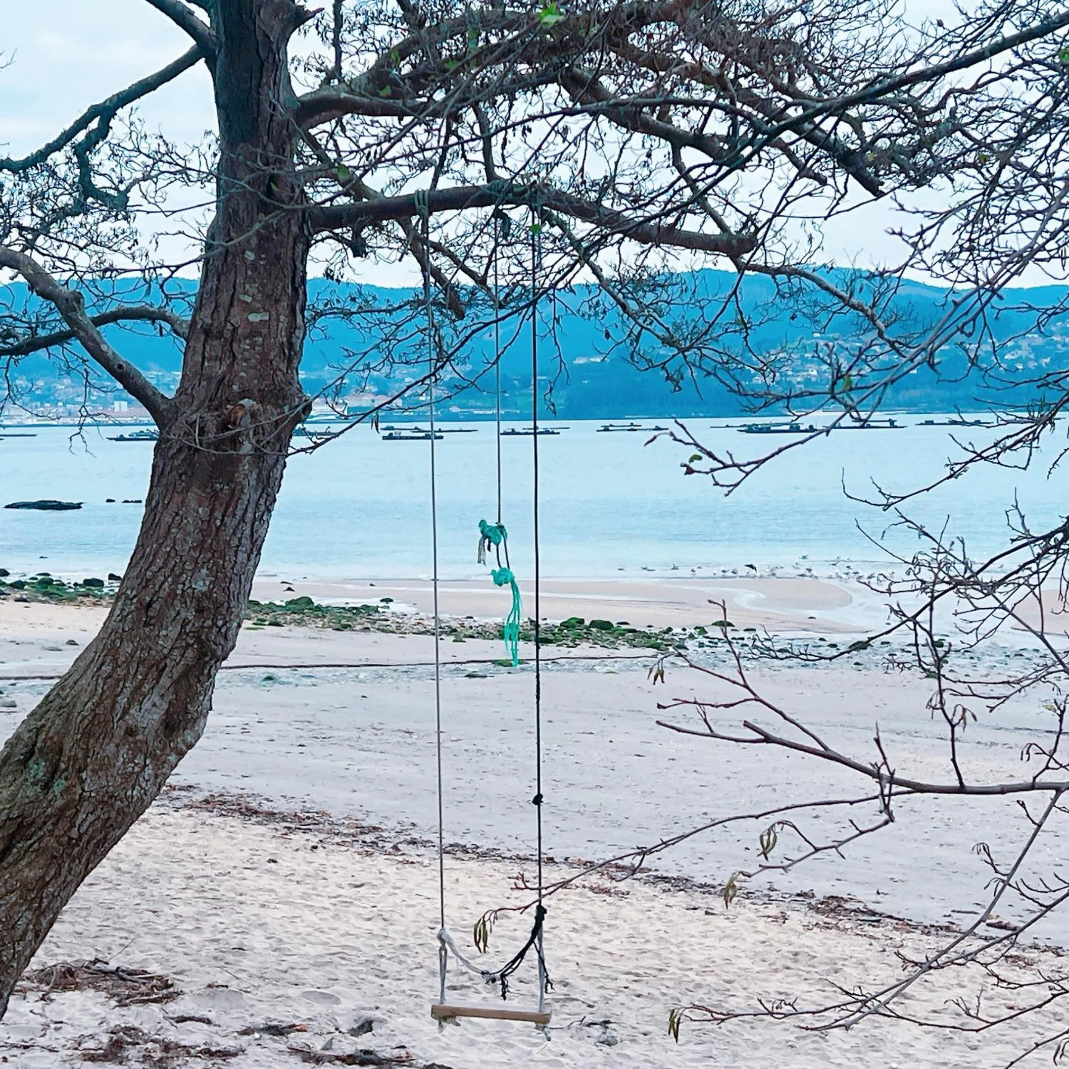 Sea view in HOTEL MAREA