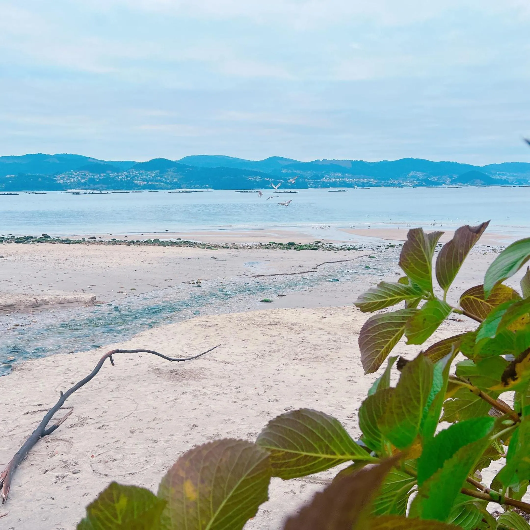 Natural landscape in HOTEL MAREA