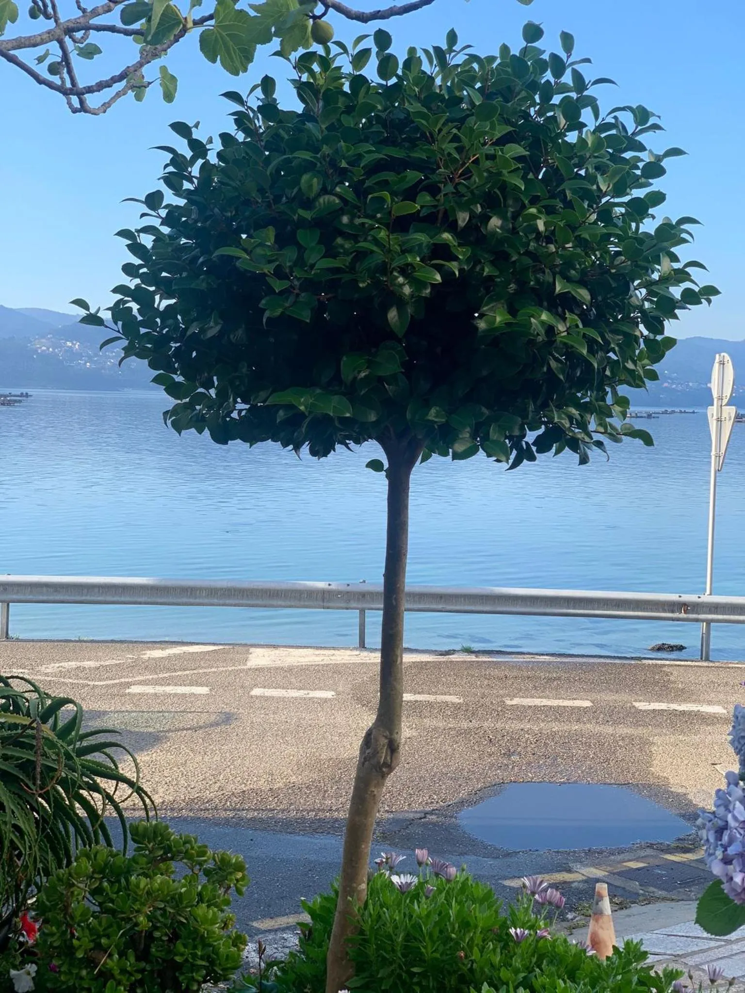 Beach in HOTEL MAREA