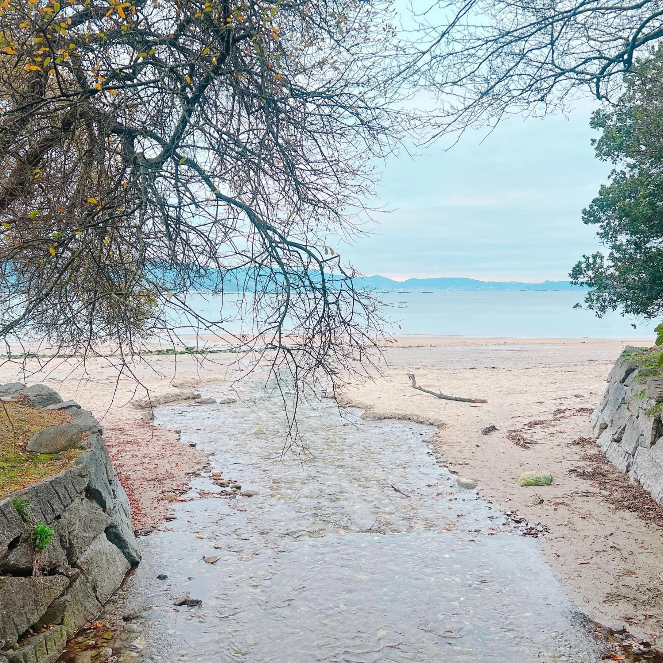 Natural landscape in HOTEL MAREA