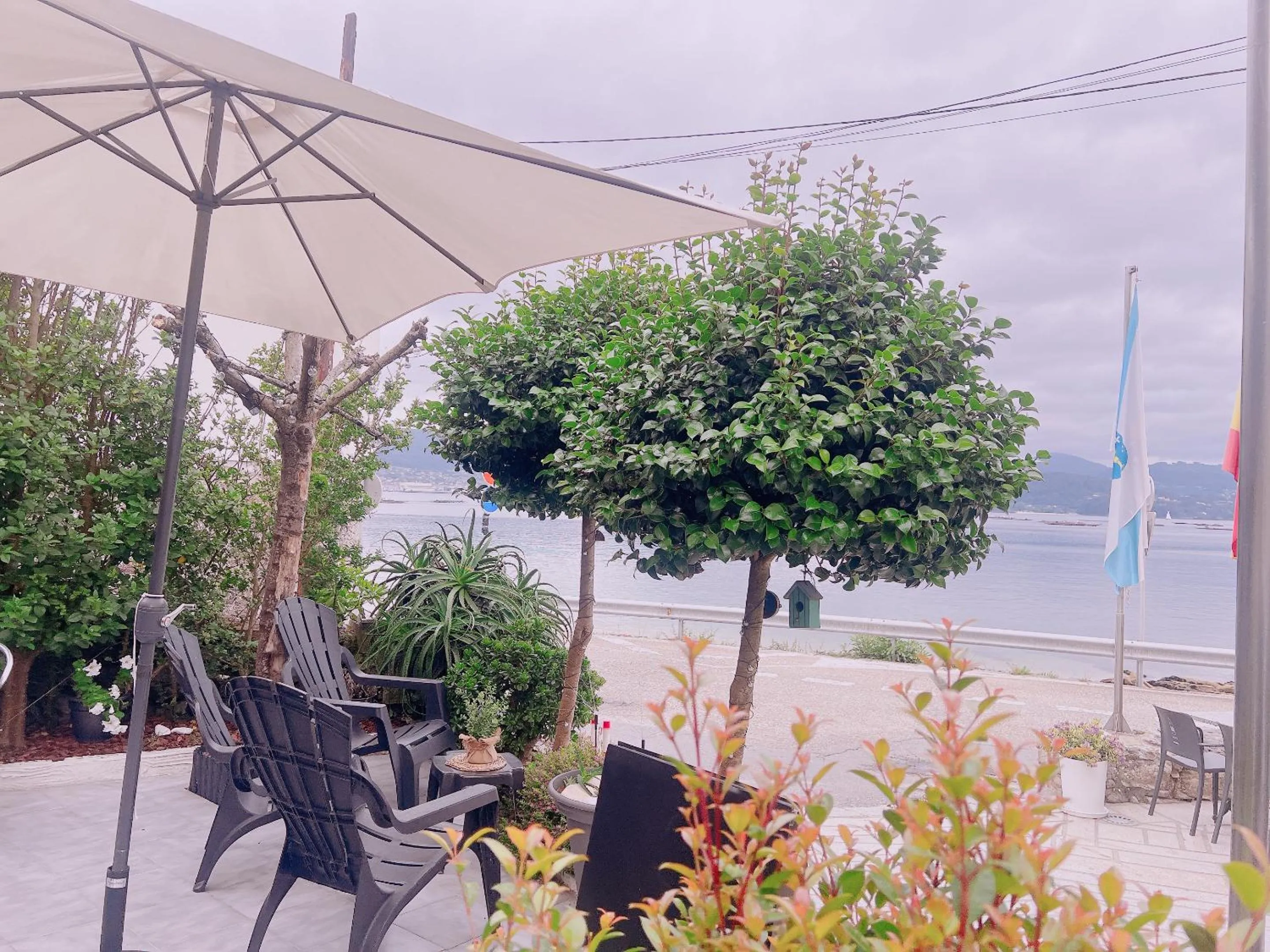 Sea view in HOTEL MAREA