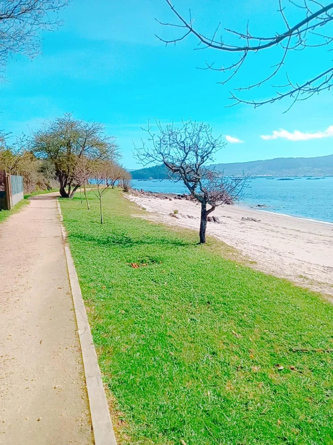 Sea view in HOTEL MAREA