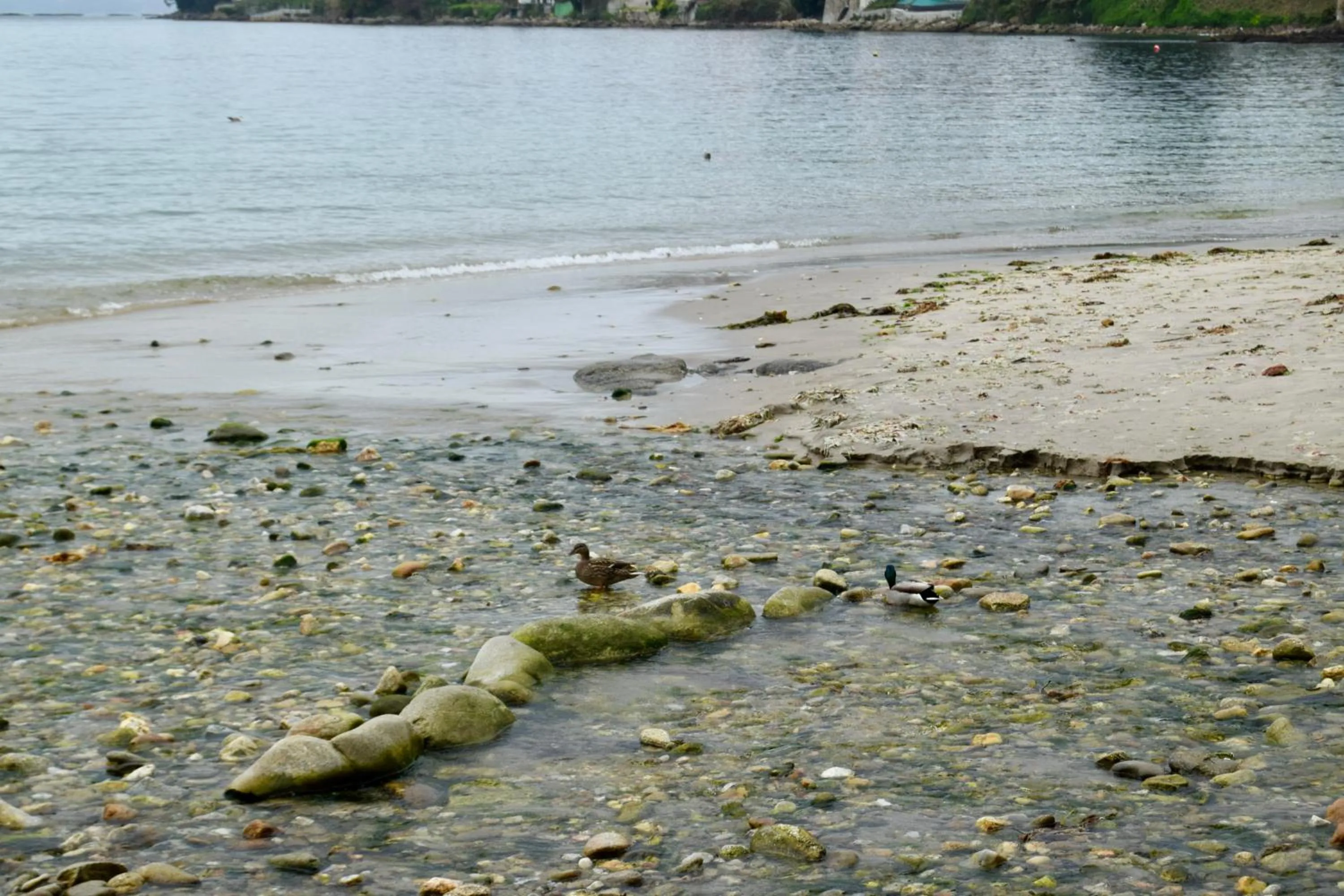 Sea view in HOTEL MAREA