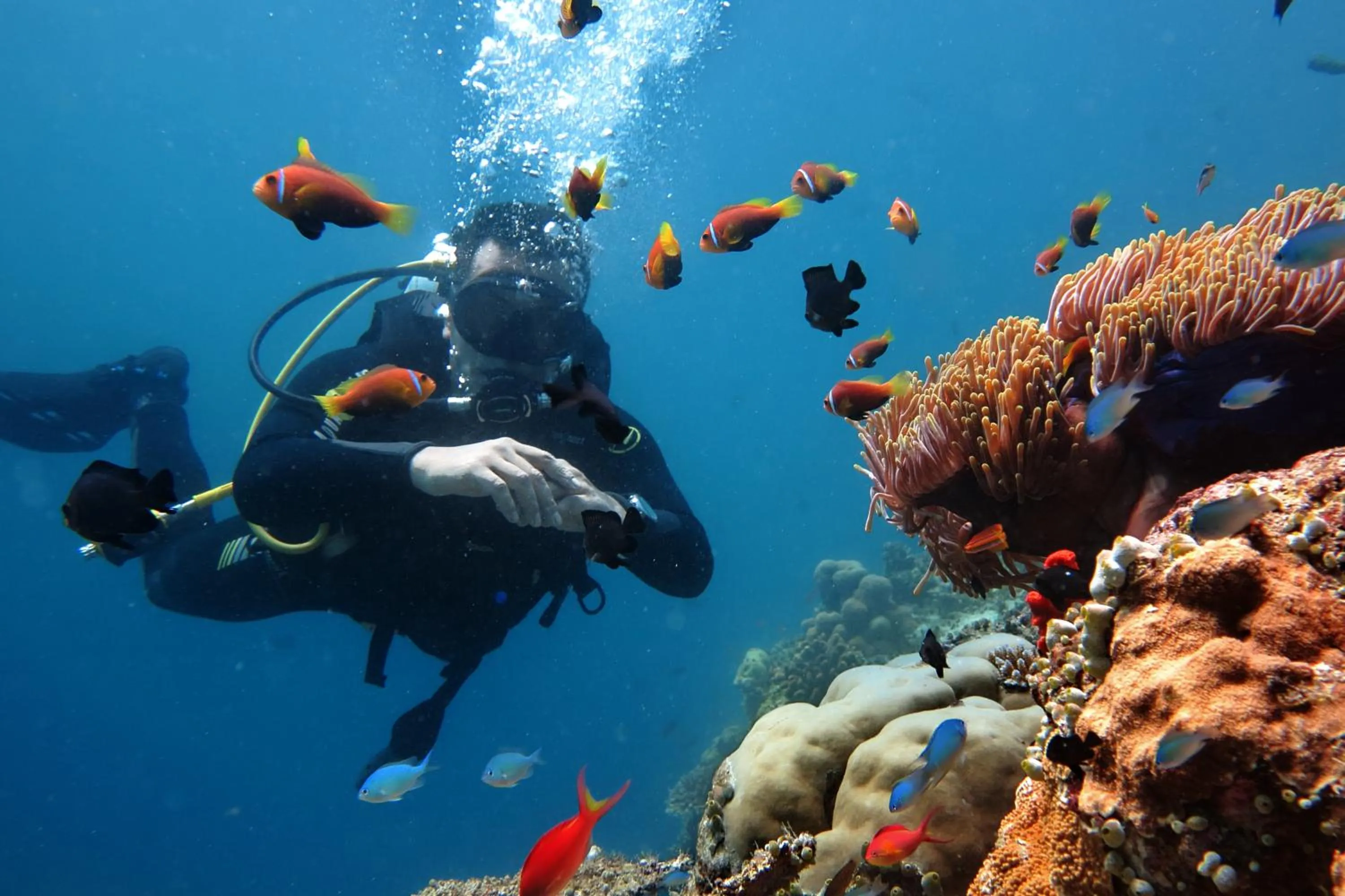 Activities in Triton Prestige Seaview and Spa