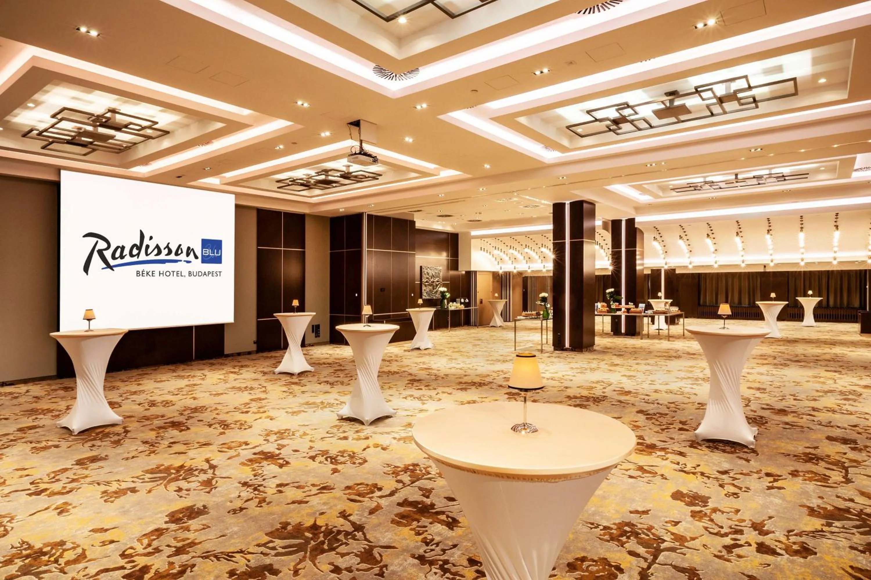 On site in Radisson Blu Béke Hotel, Budapest