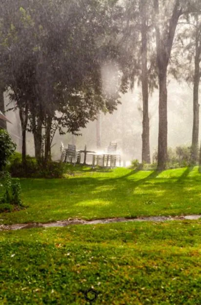 Garden in La Moor Country Venue & Eatery