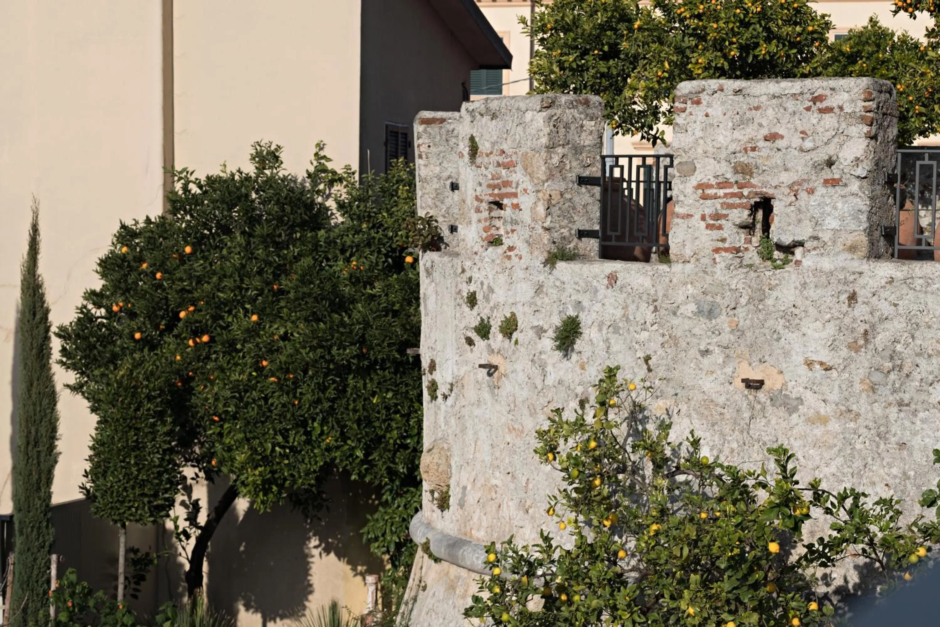 Garden in Paradis Pietrasanta