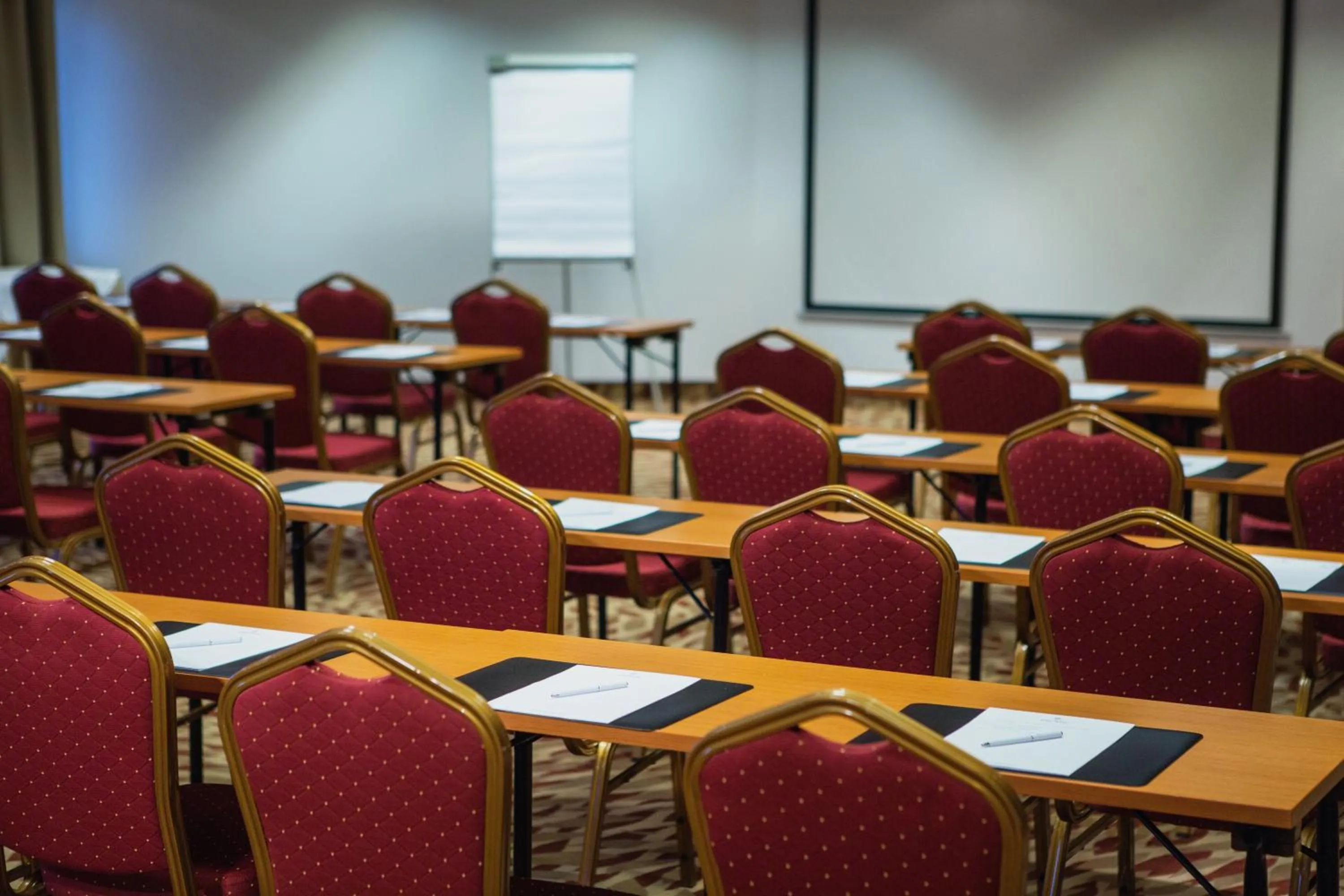Meeting/conference room in Lotus Therme Hotel & Spa