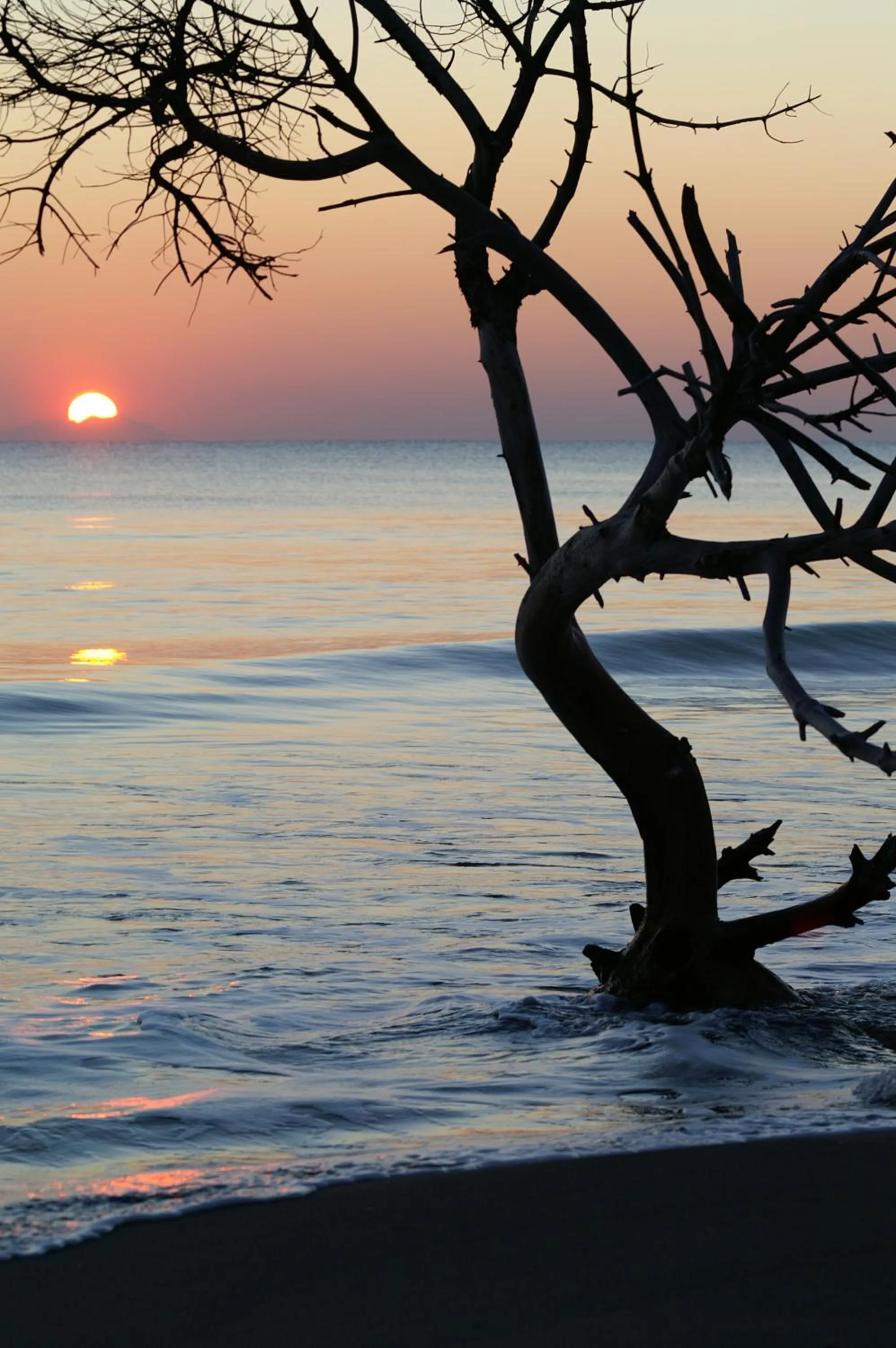 Summer in Residence La Rosa di Nettuno