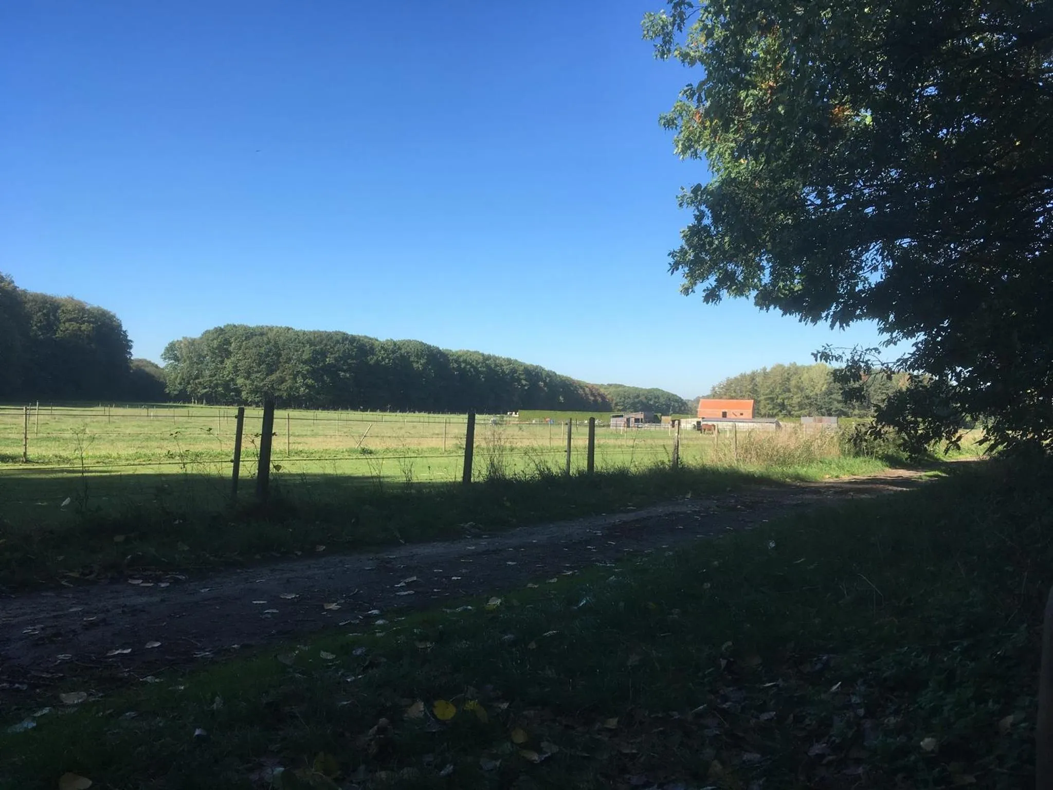 Natural landscape in B&B Miranoza