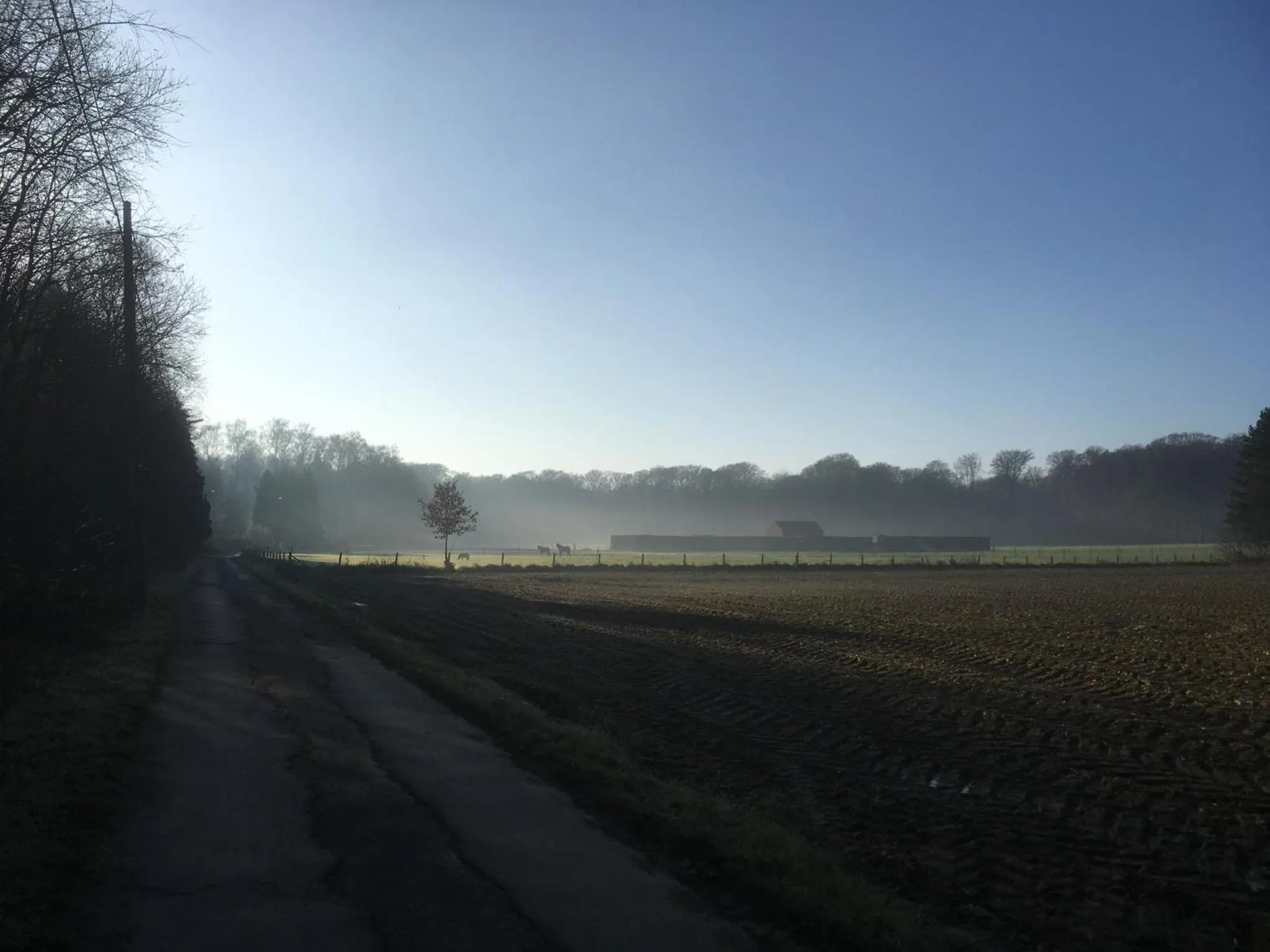 Natural landscape in B&B Miranoza