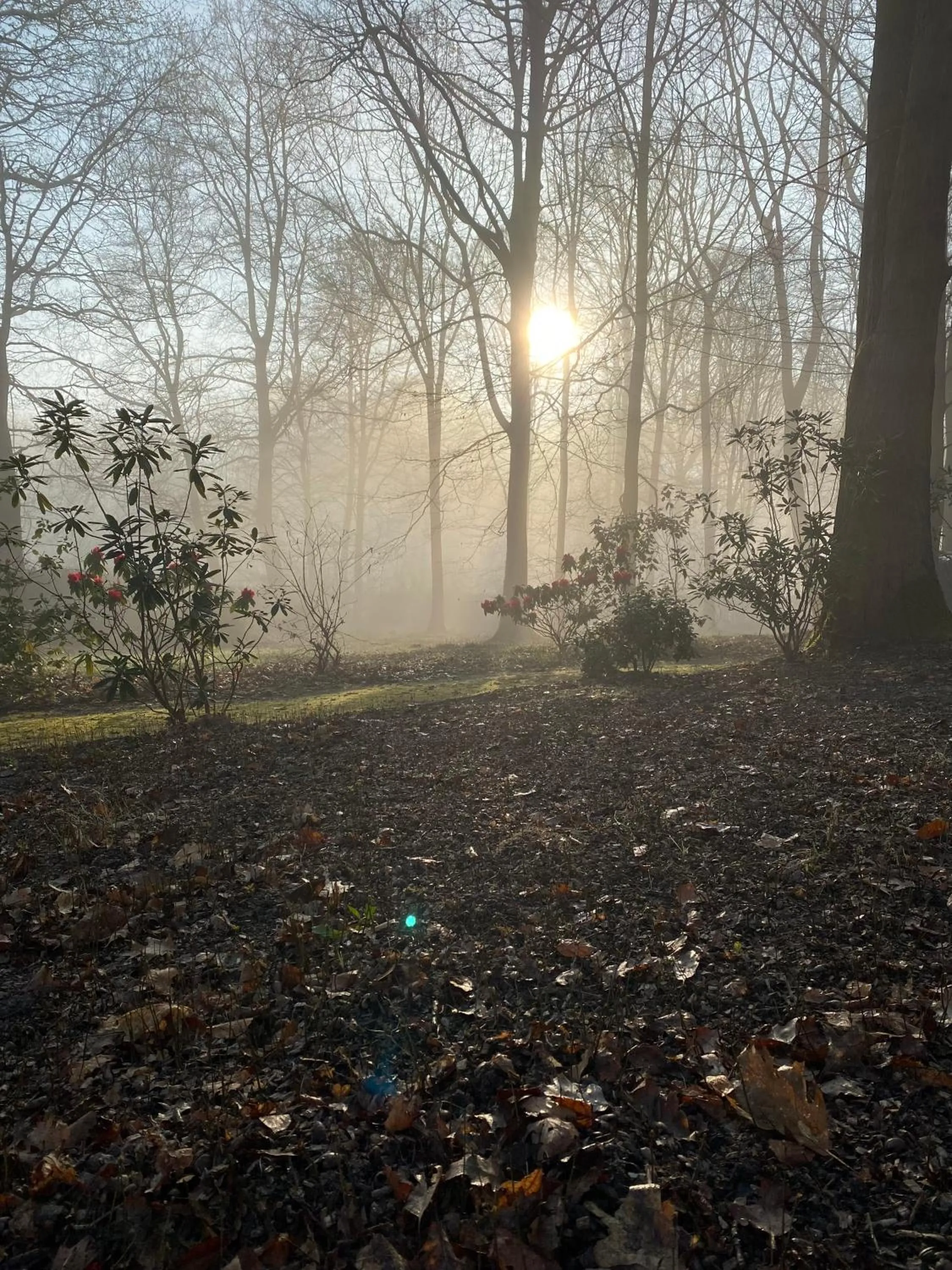 Natural landscape in B&B Miranoza
