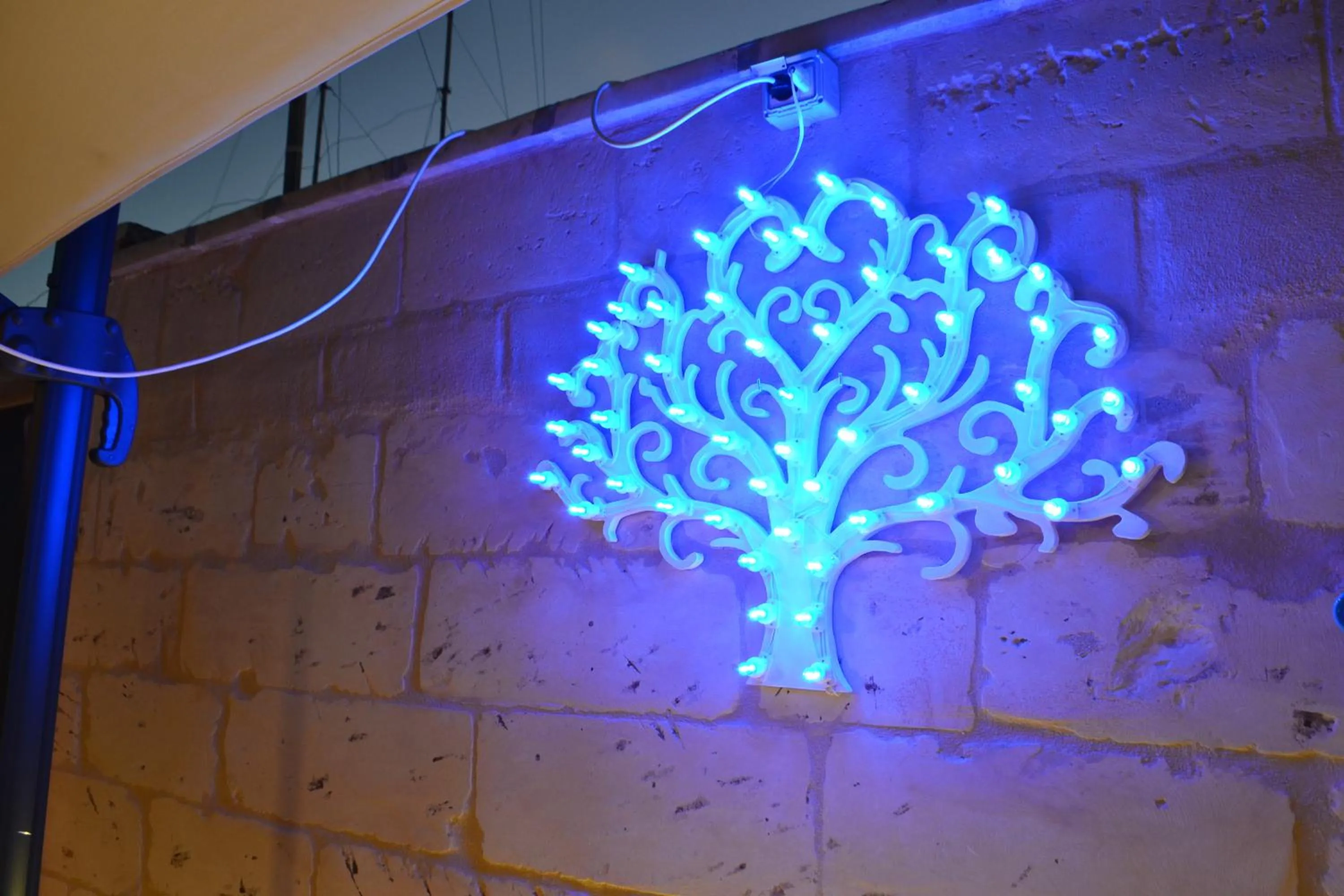 Solarium in La Fitolacca B&B