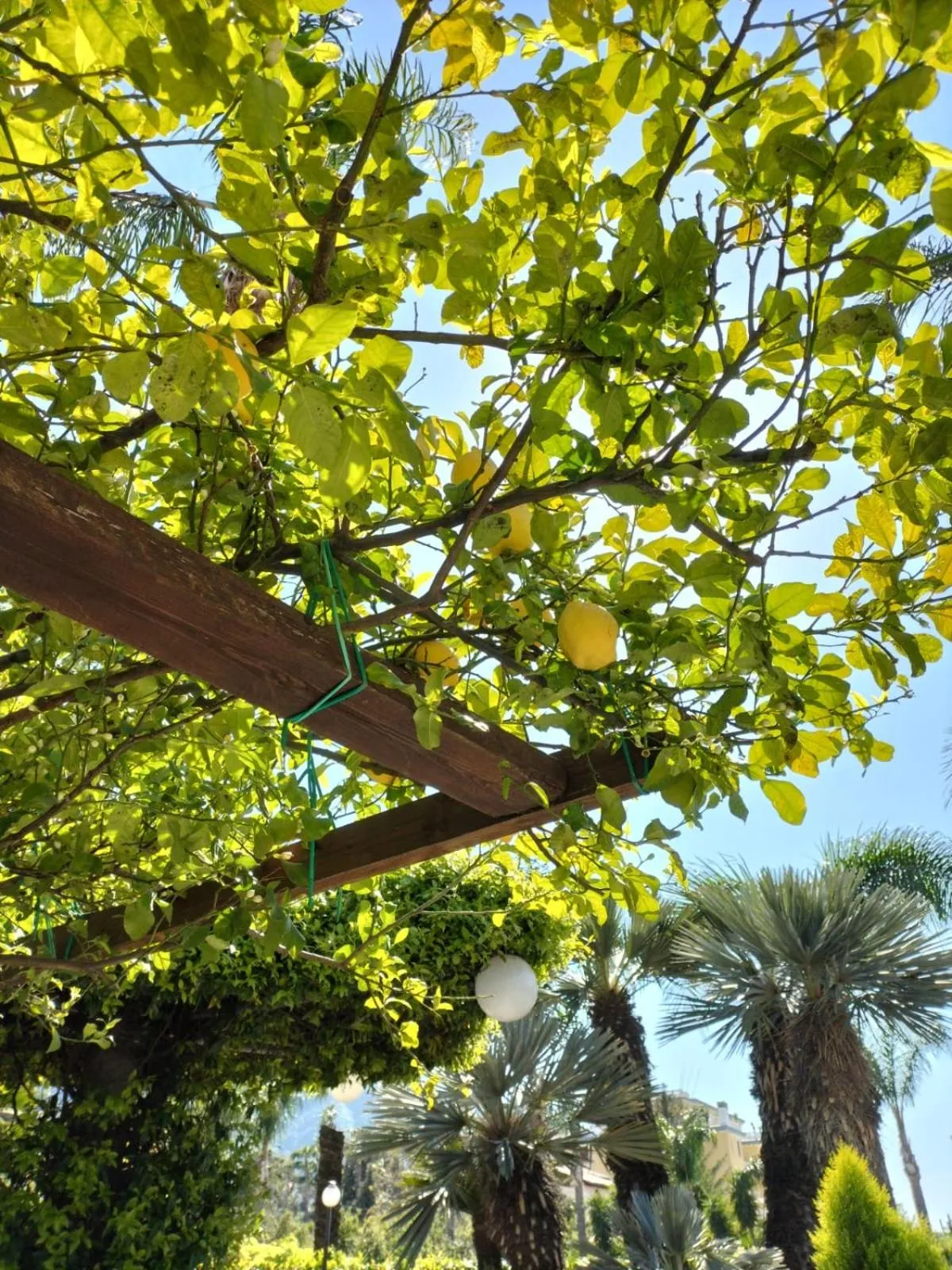 Spring in Tettoeletto Garden Bio