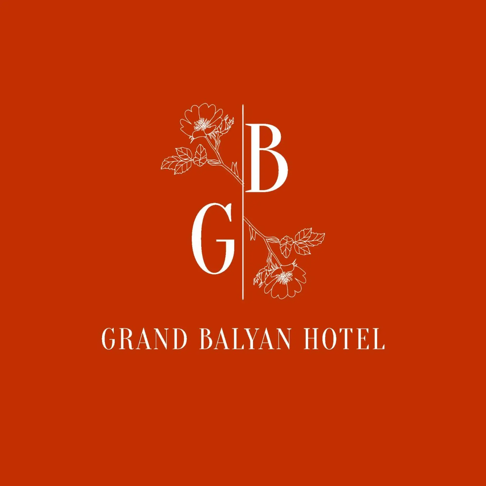 Economy Double Room in Grand Balyan Hotel & Restaurant Economy Double Room in Grand Balyan Hotel & Restaurant