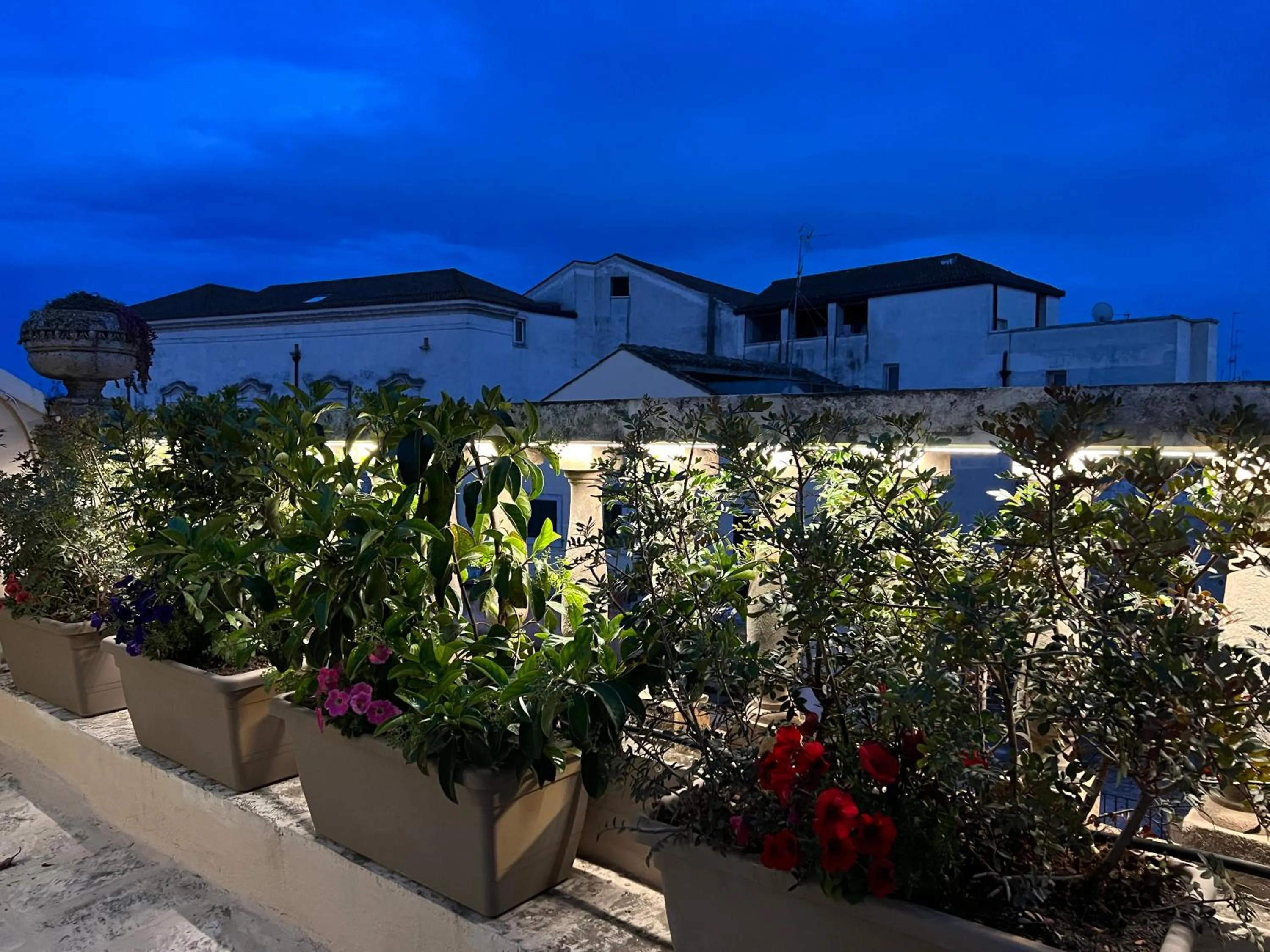 Balcony/Terrace in Dante 2 B&B