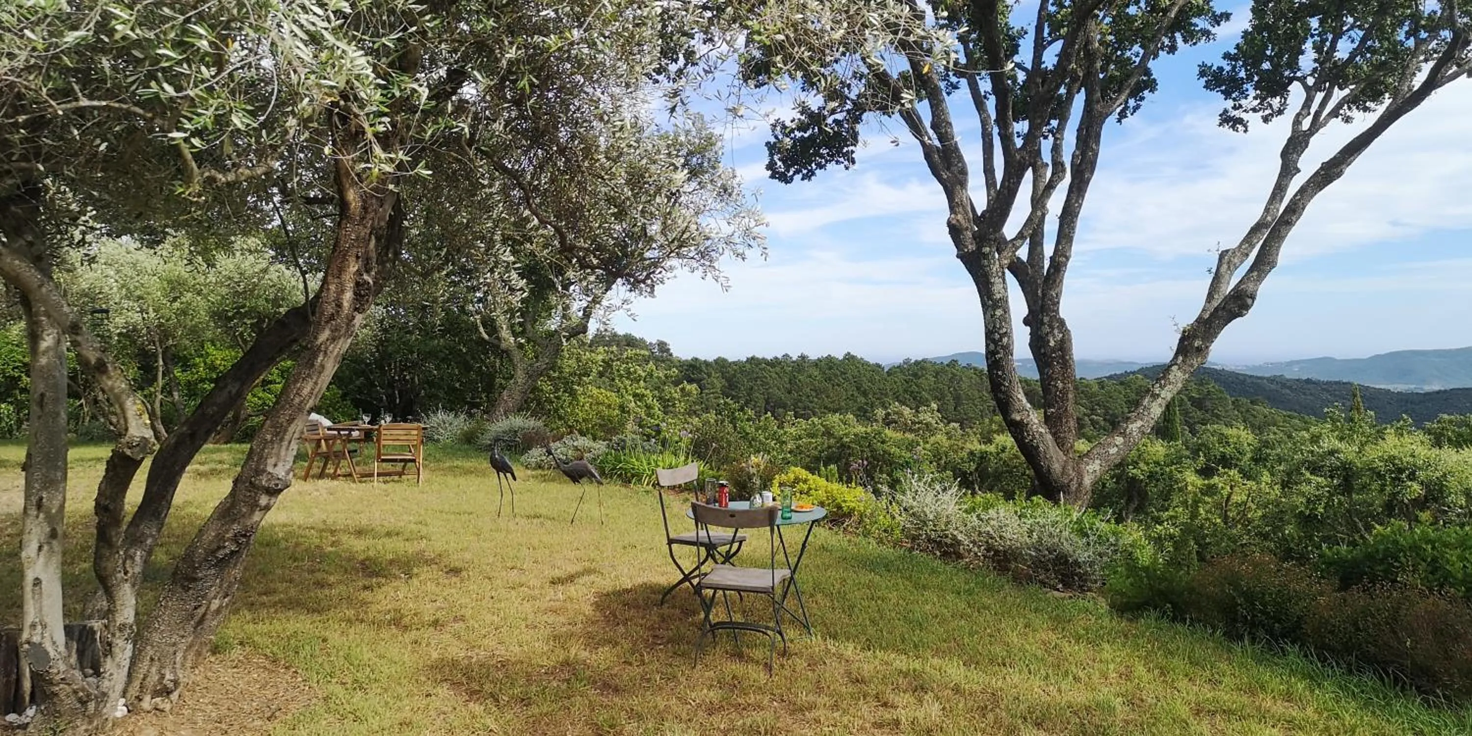 Natural landscape in Domaine des Chênes de la Galline