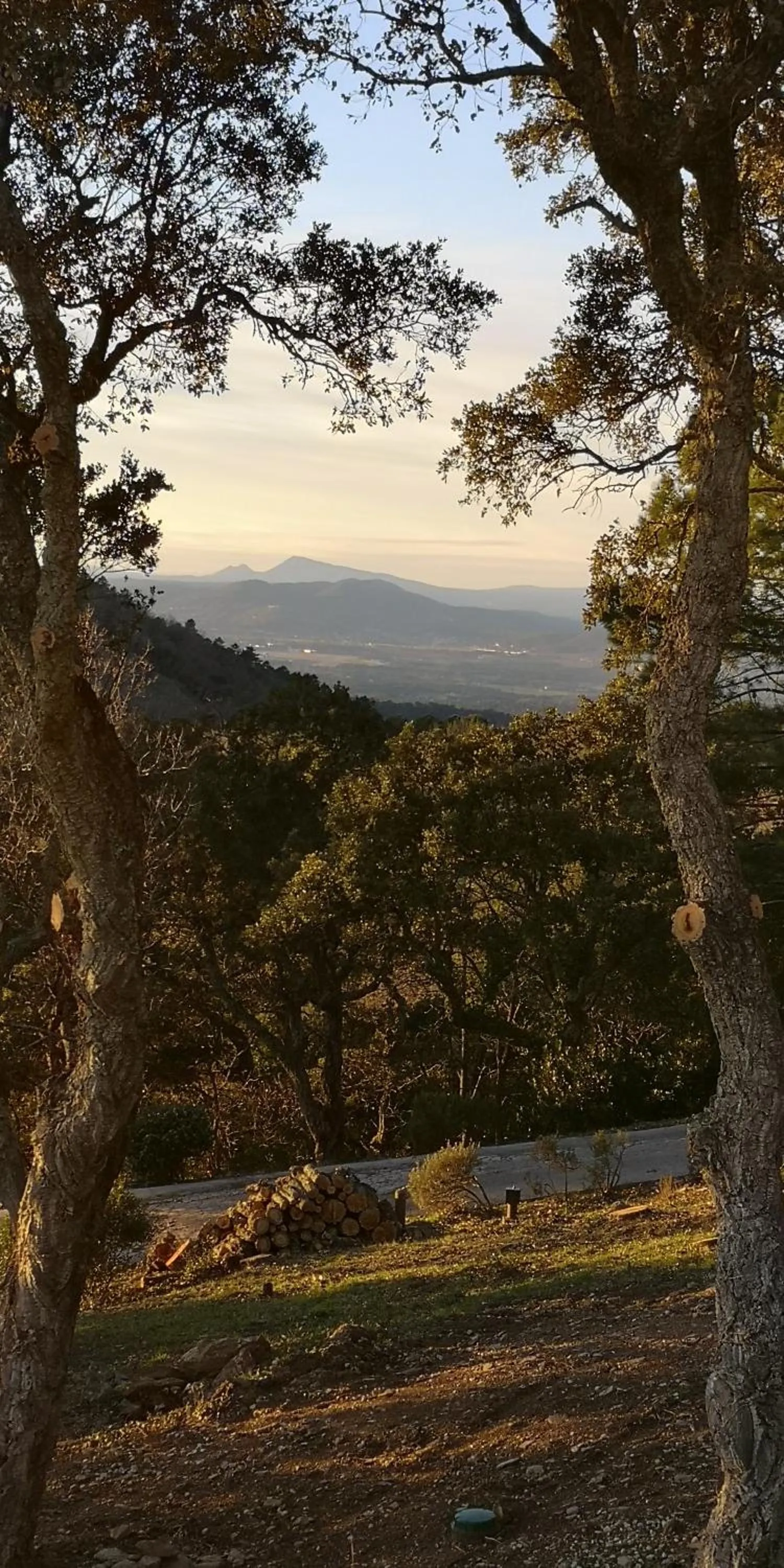 Natural landscape in Domaine des Chênes de la Galline