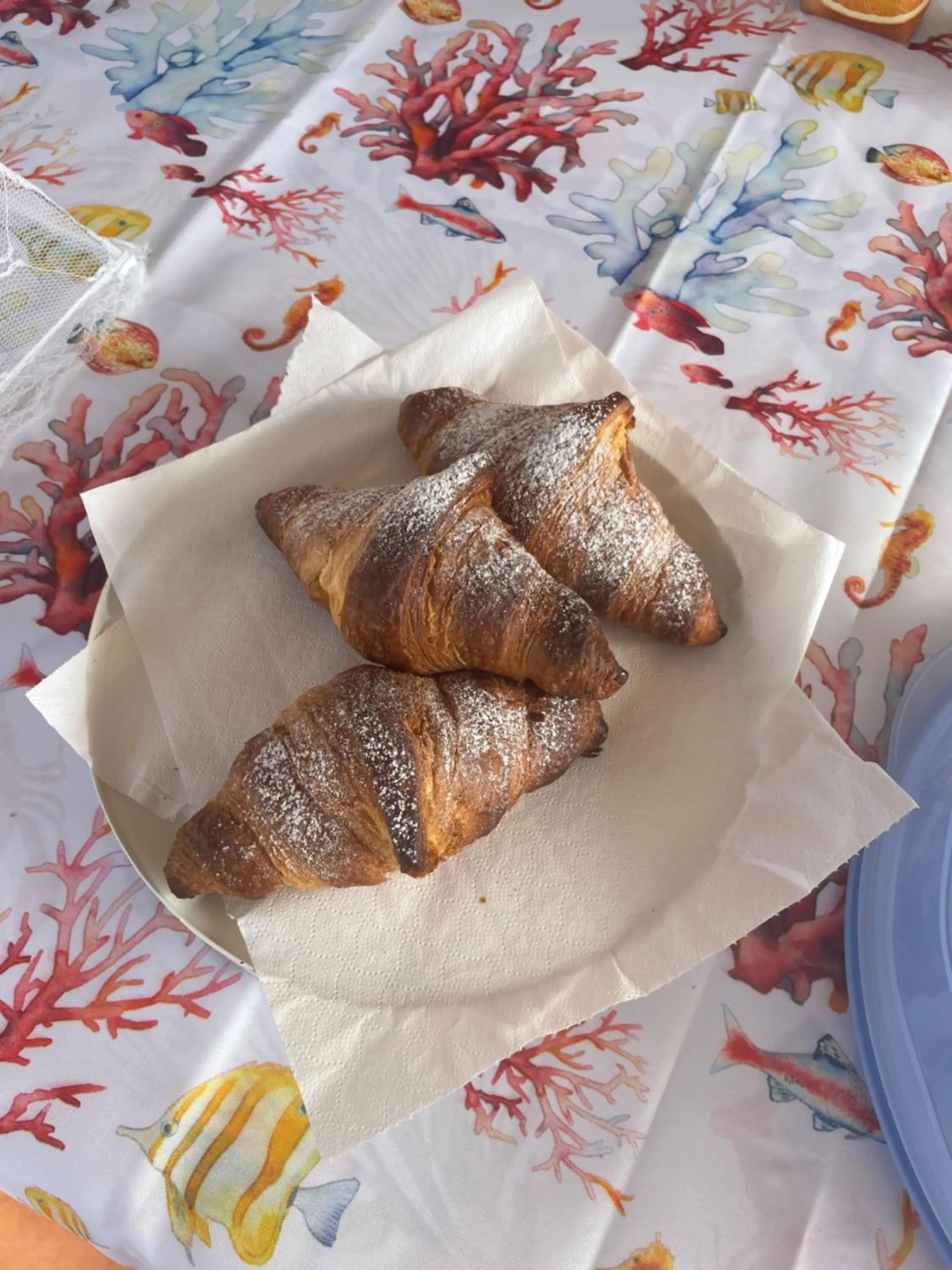 Centro estivo Il Piccolo Paradiso