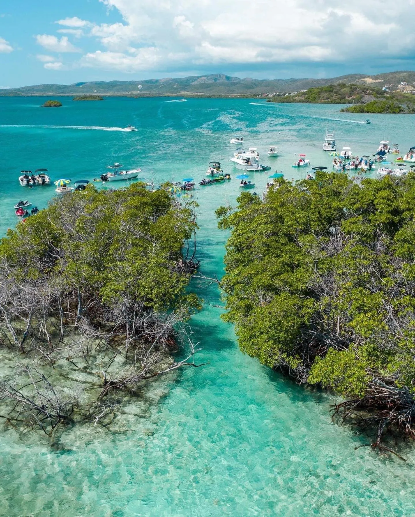 Beach in Turtle Bay Inn
