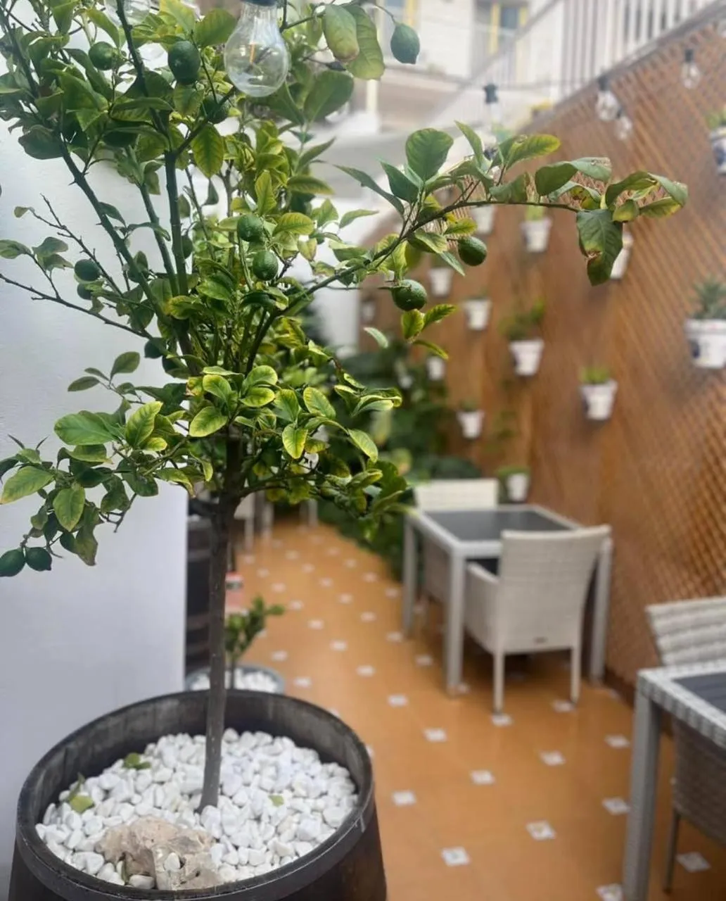 Balcony/Terrace in COLIBRI