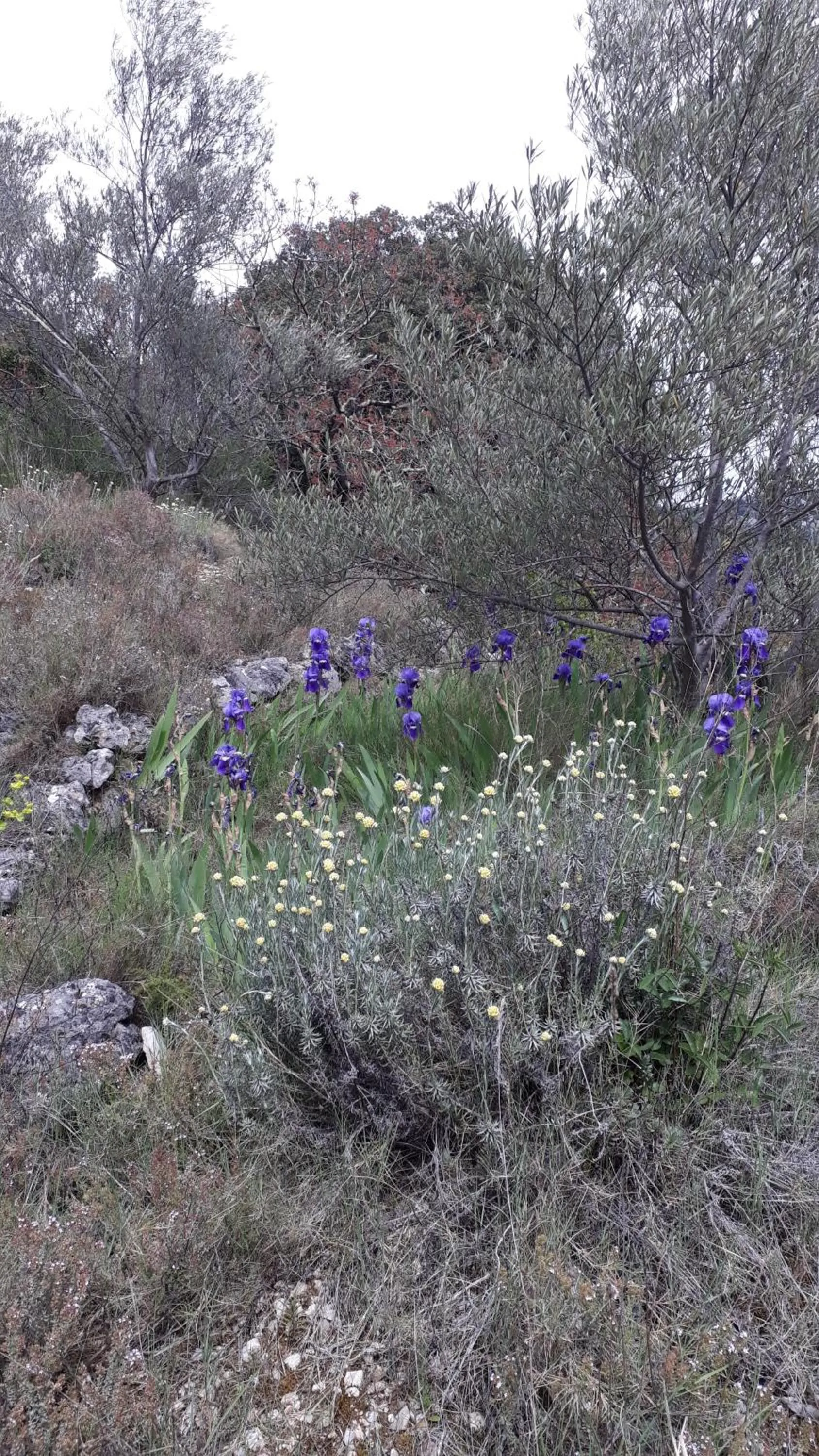Hiking in Au bord du verdus
