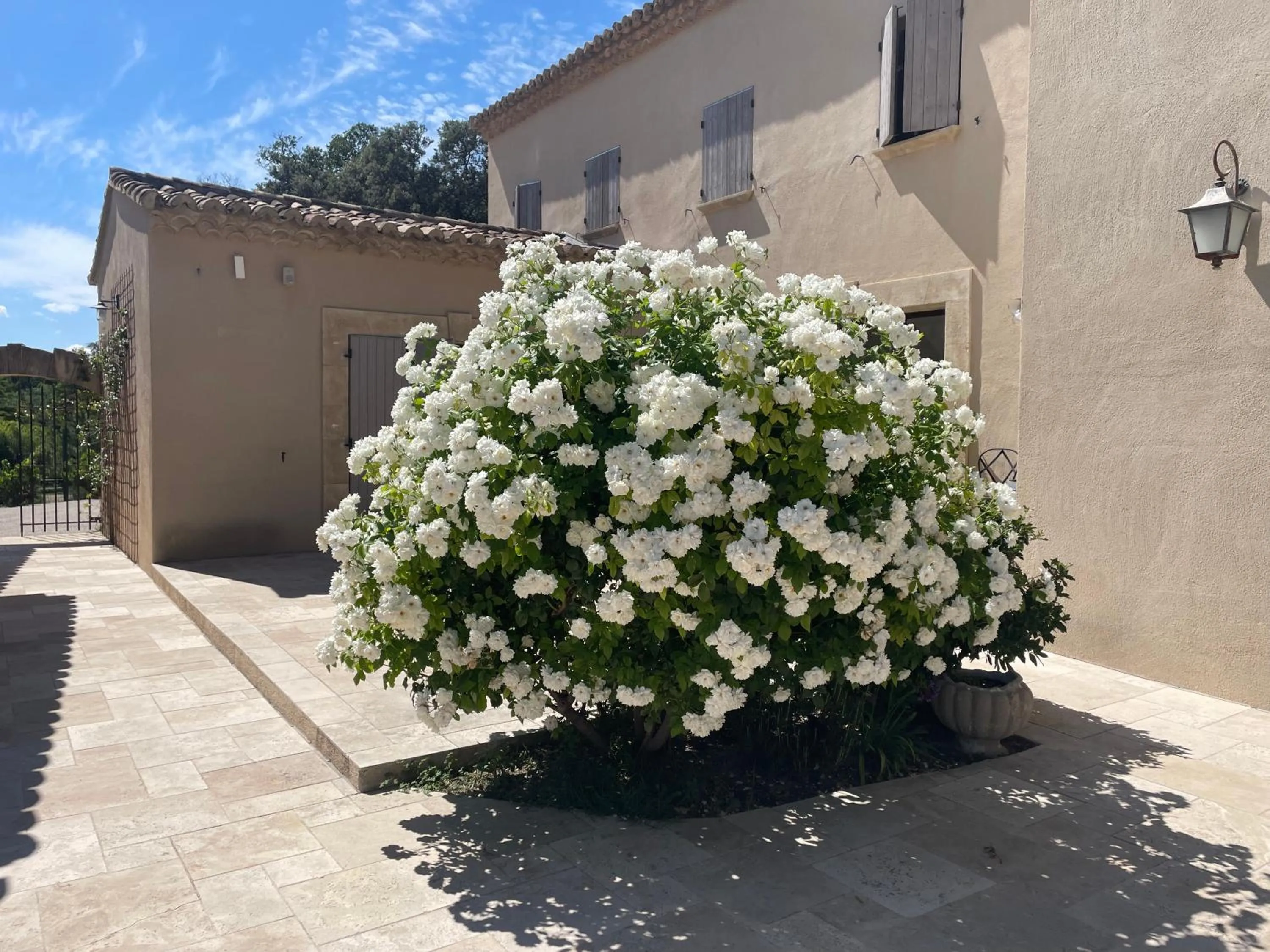 Balcony/Terrace in Côté Dentelles