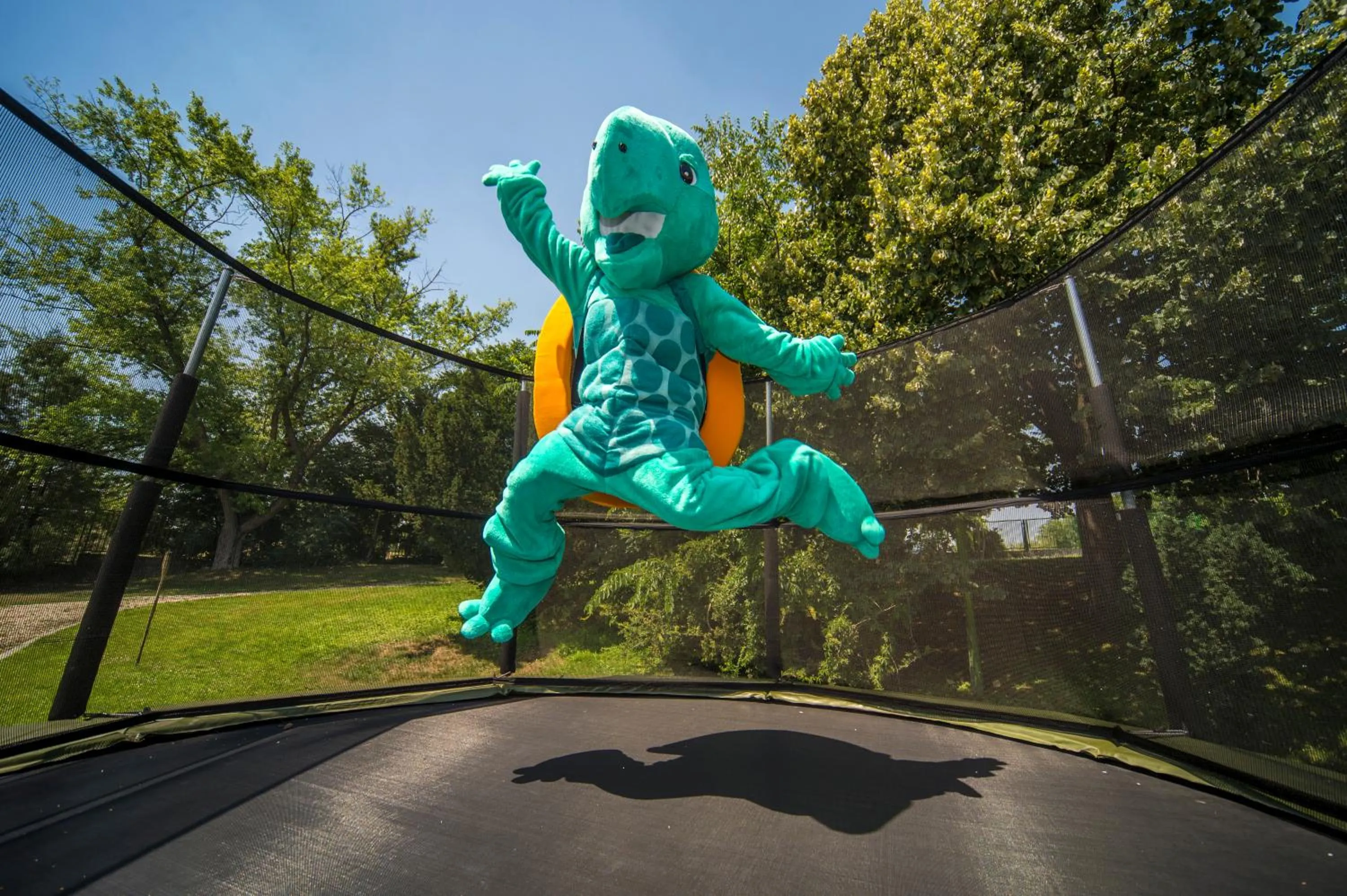 Activities in Hunguest Szeged - ex Forrás