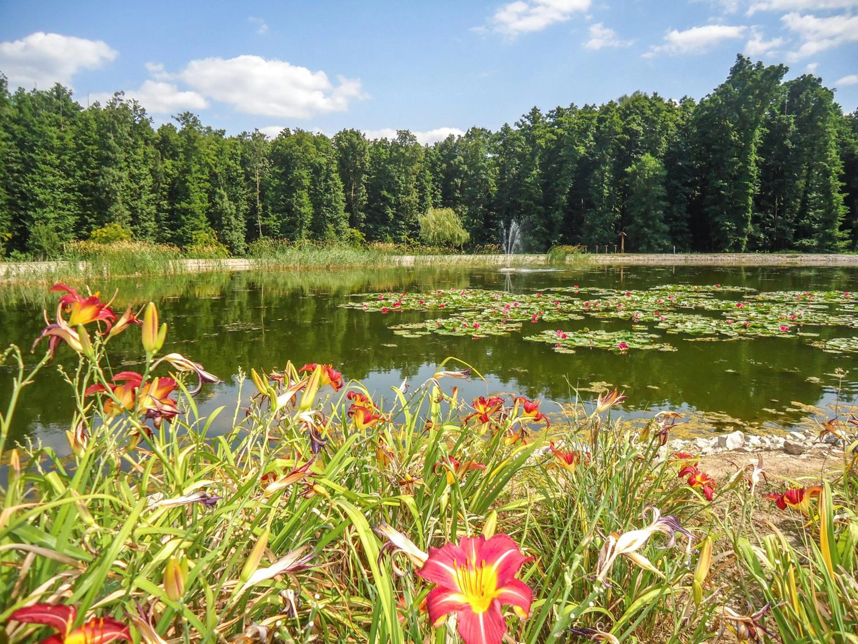 Nearby landmark in Hunguest Hotel Freya