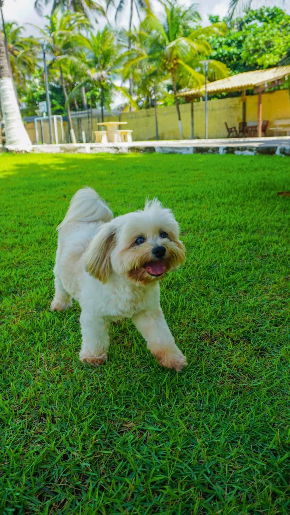 Sunset Beach Taíba Hotel