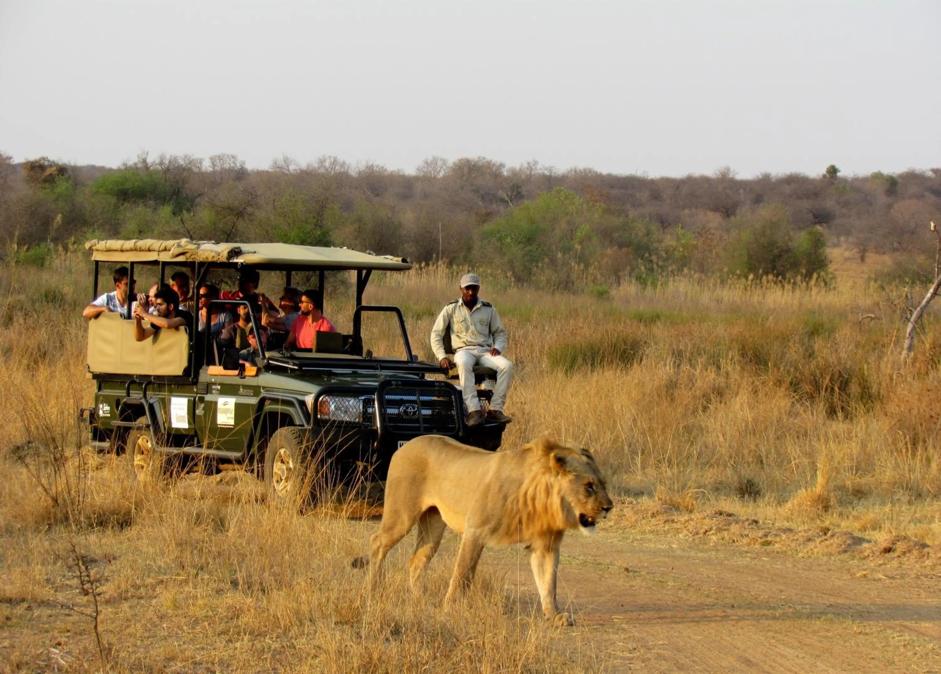 Activities in Mongena Private Game Lodge