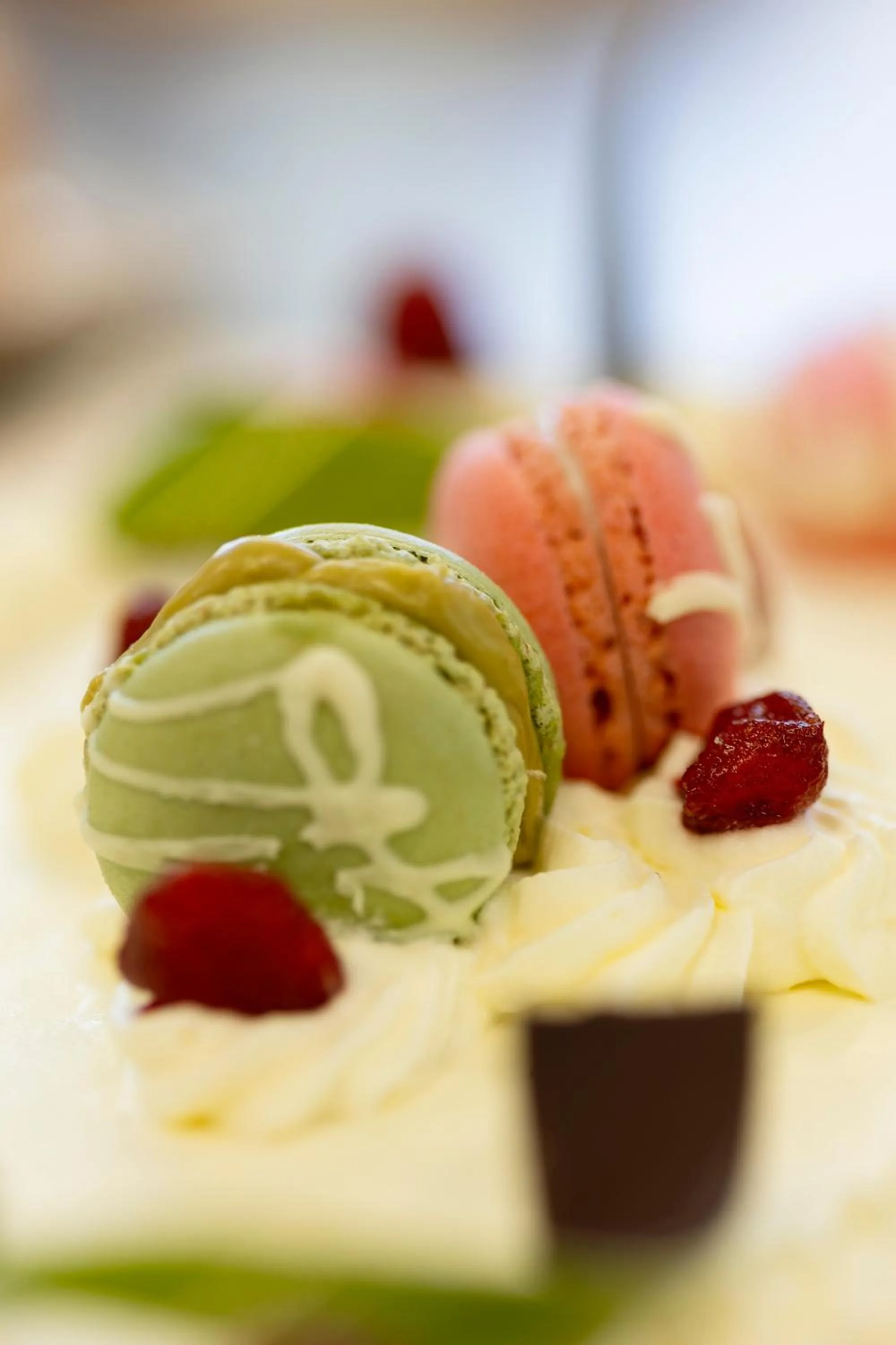 Palazzo Badiale history&rooms