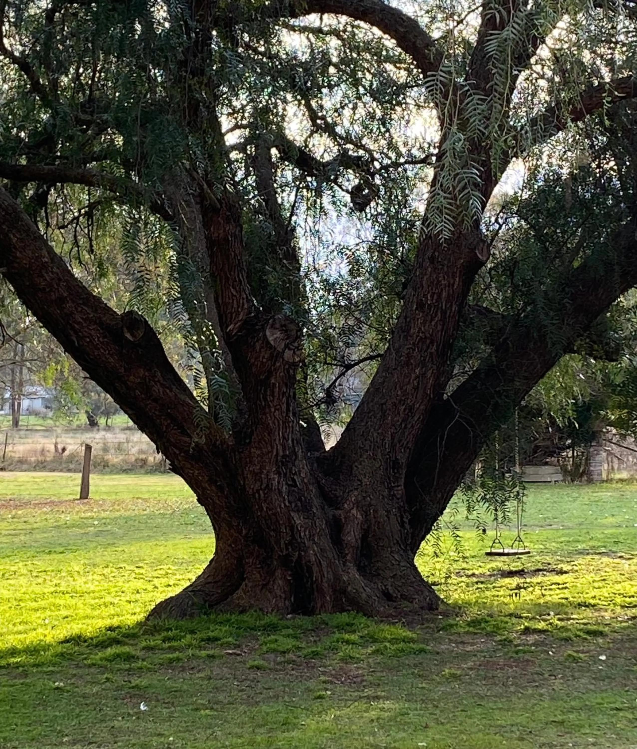 The Old Butter Factory at Springhurst Estate