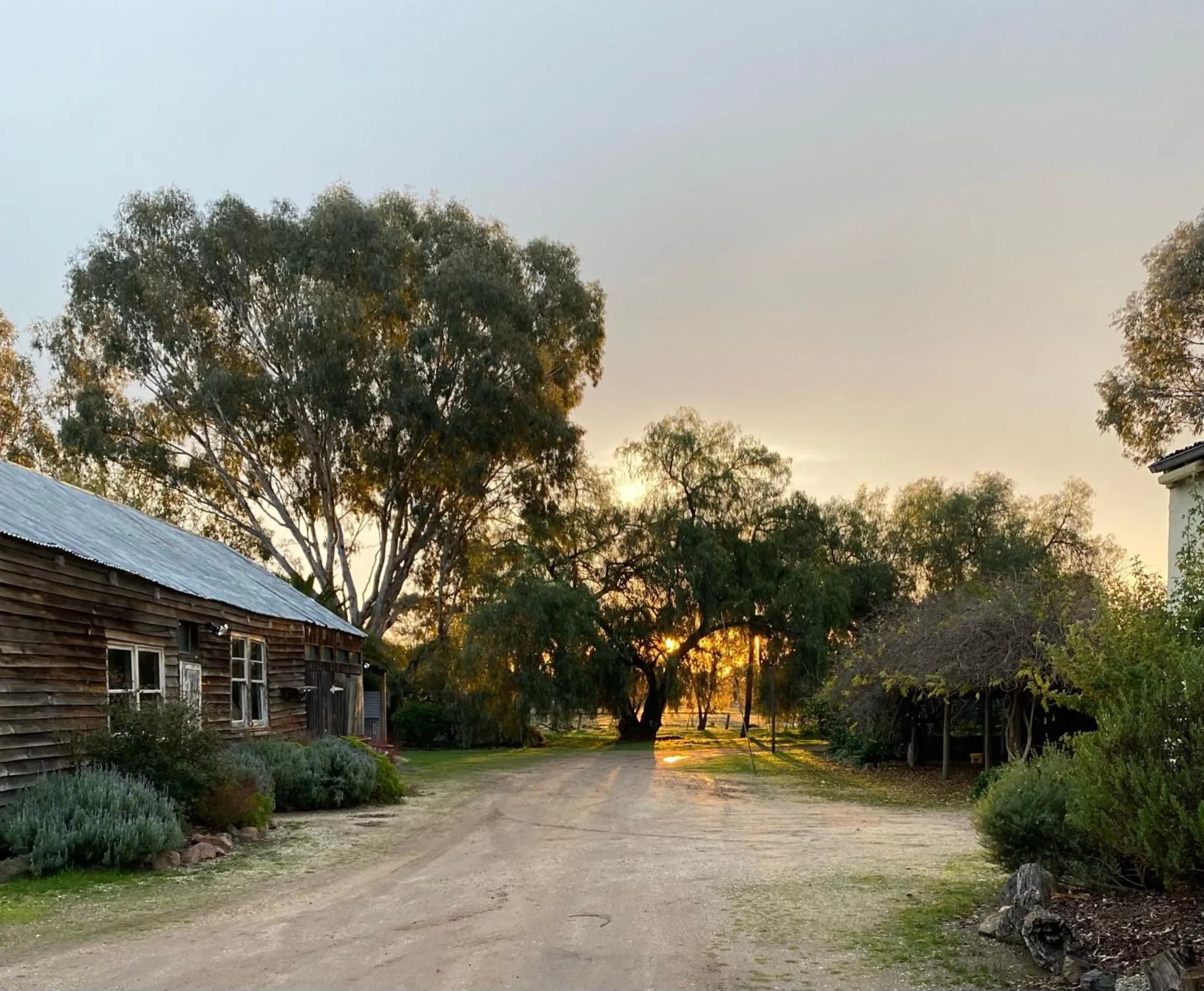 Property building in The Old Butter Factory at Springhurst Estate