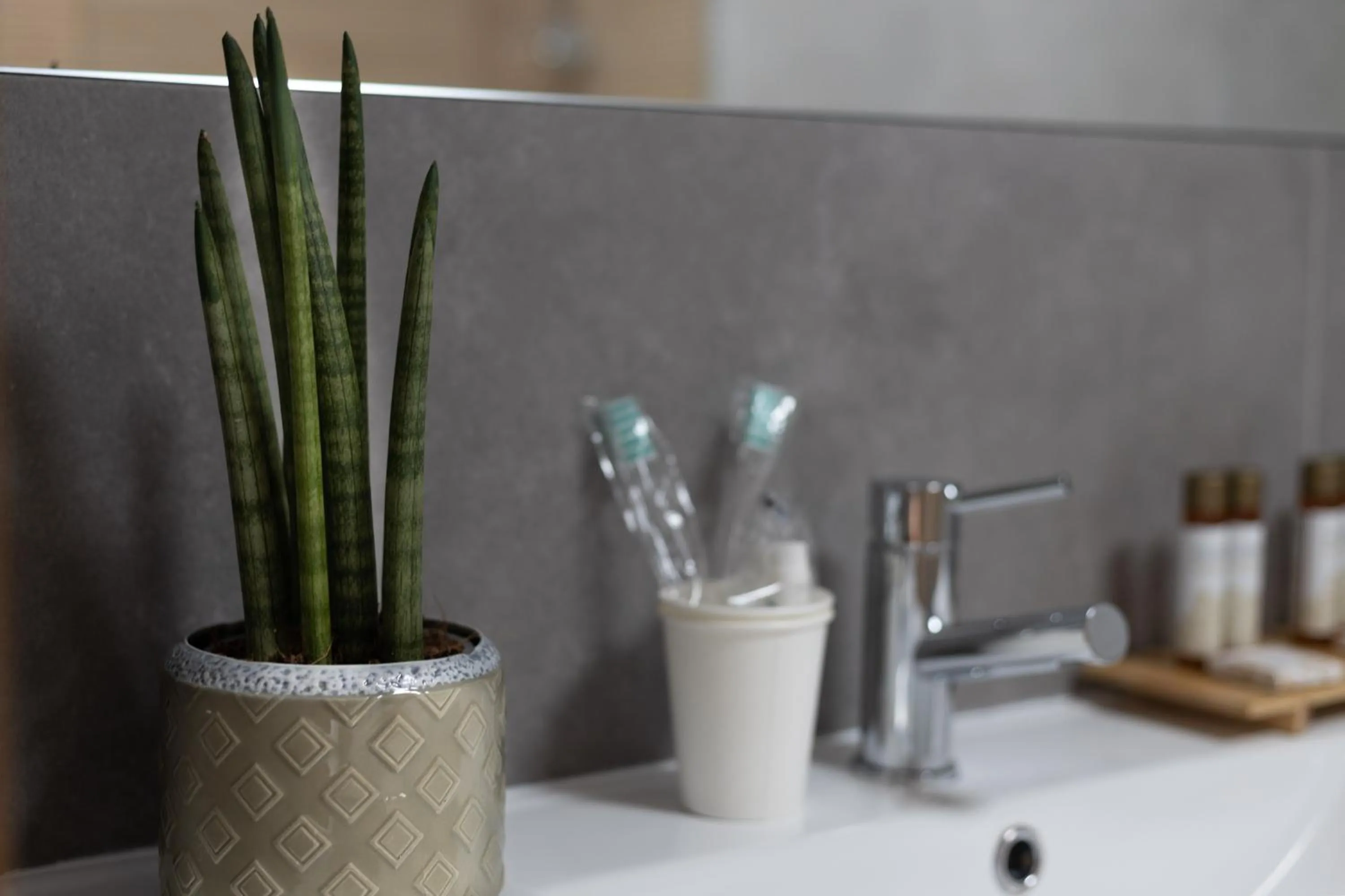 Abraços dos Avós - Casas de aldeia