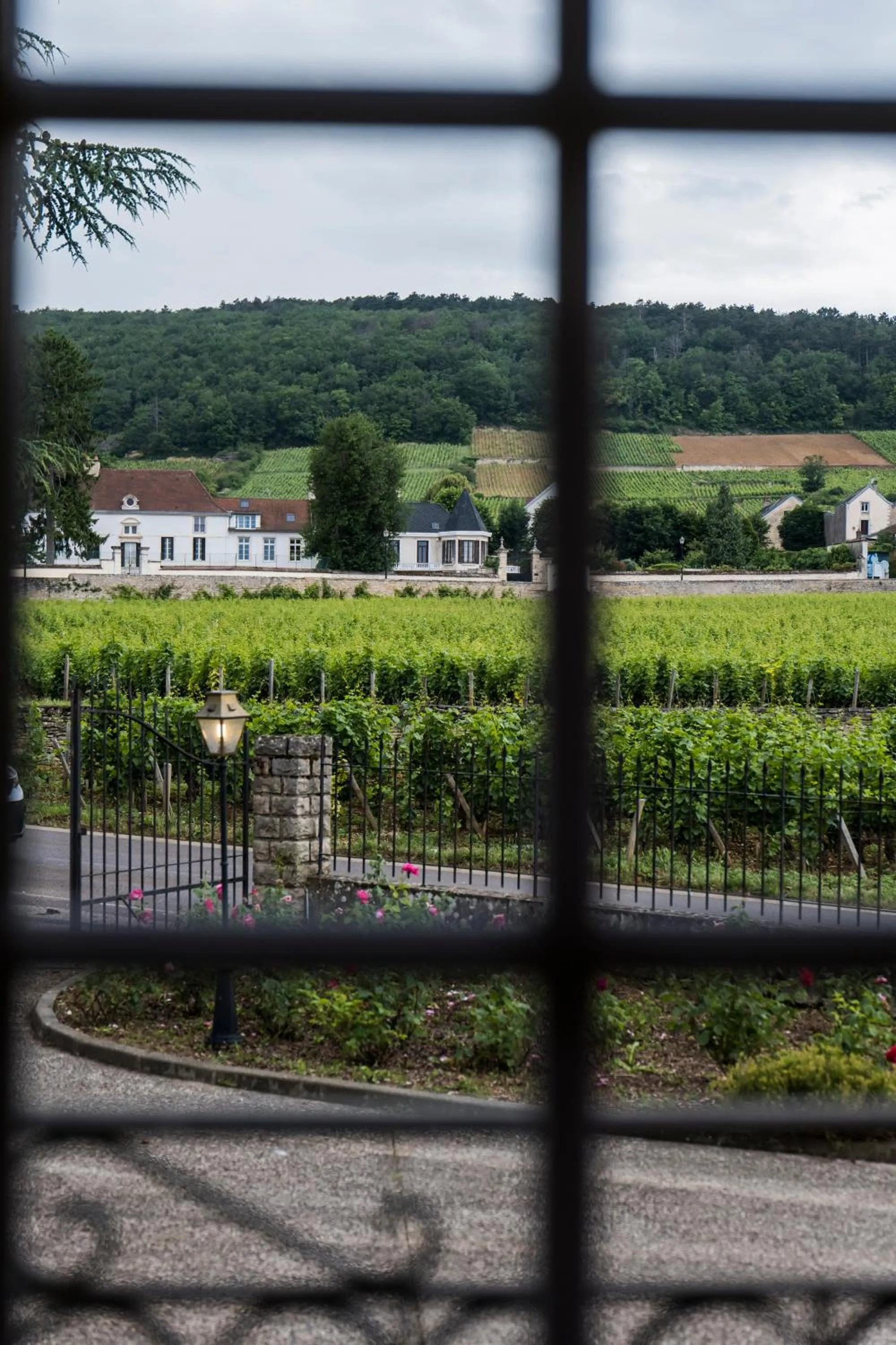 Lobby or reception in Hôtel-Spa Ô Rouge - Gevrey-Chambertin - Teritoria