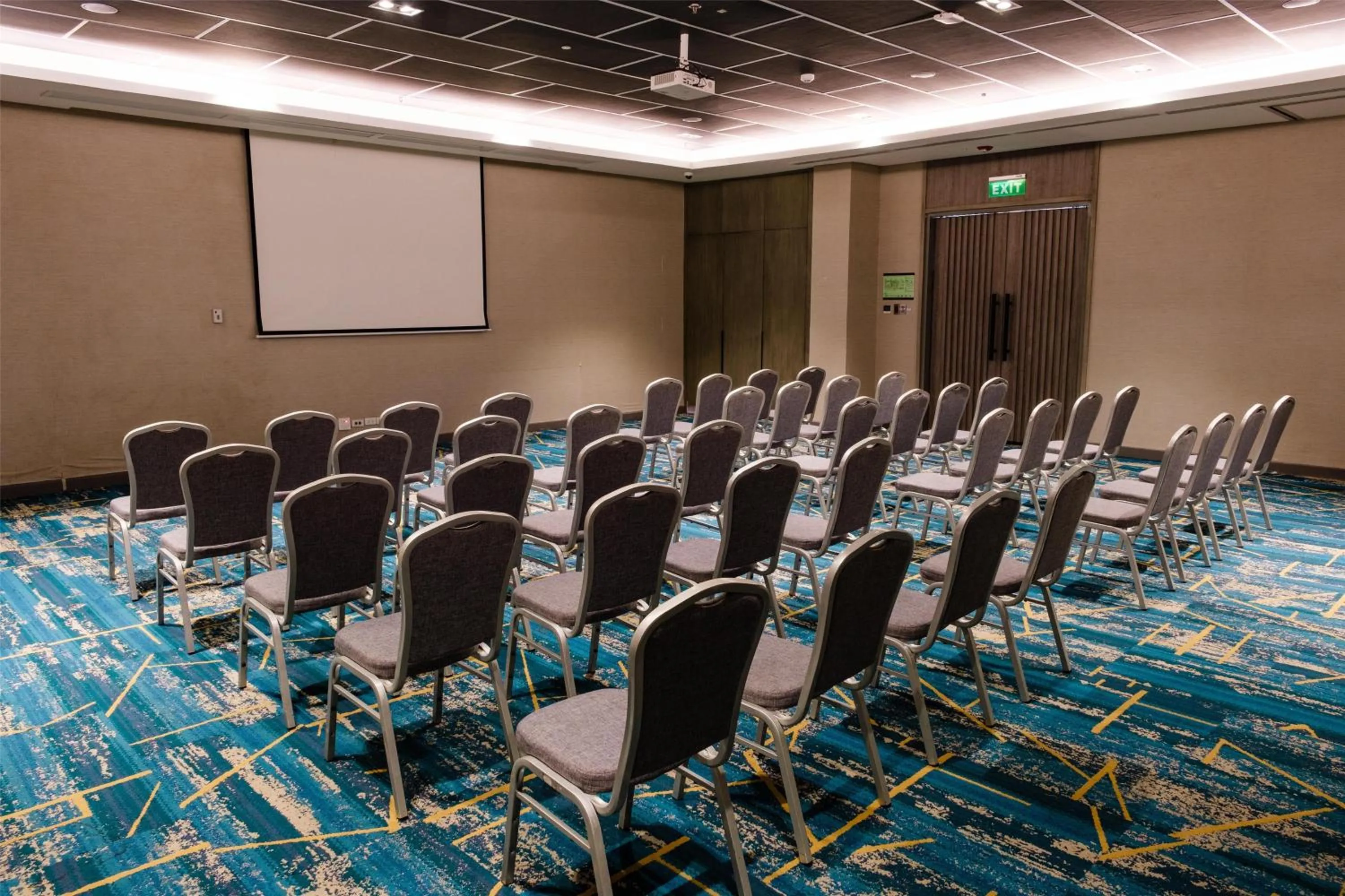 Meeting/conference room in Park Inn By Radisson Bacolod