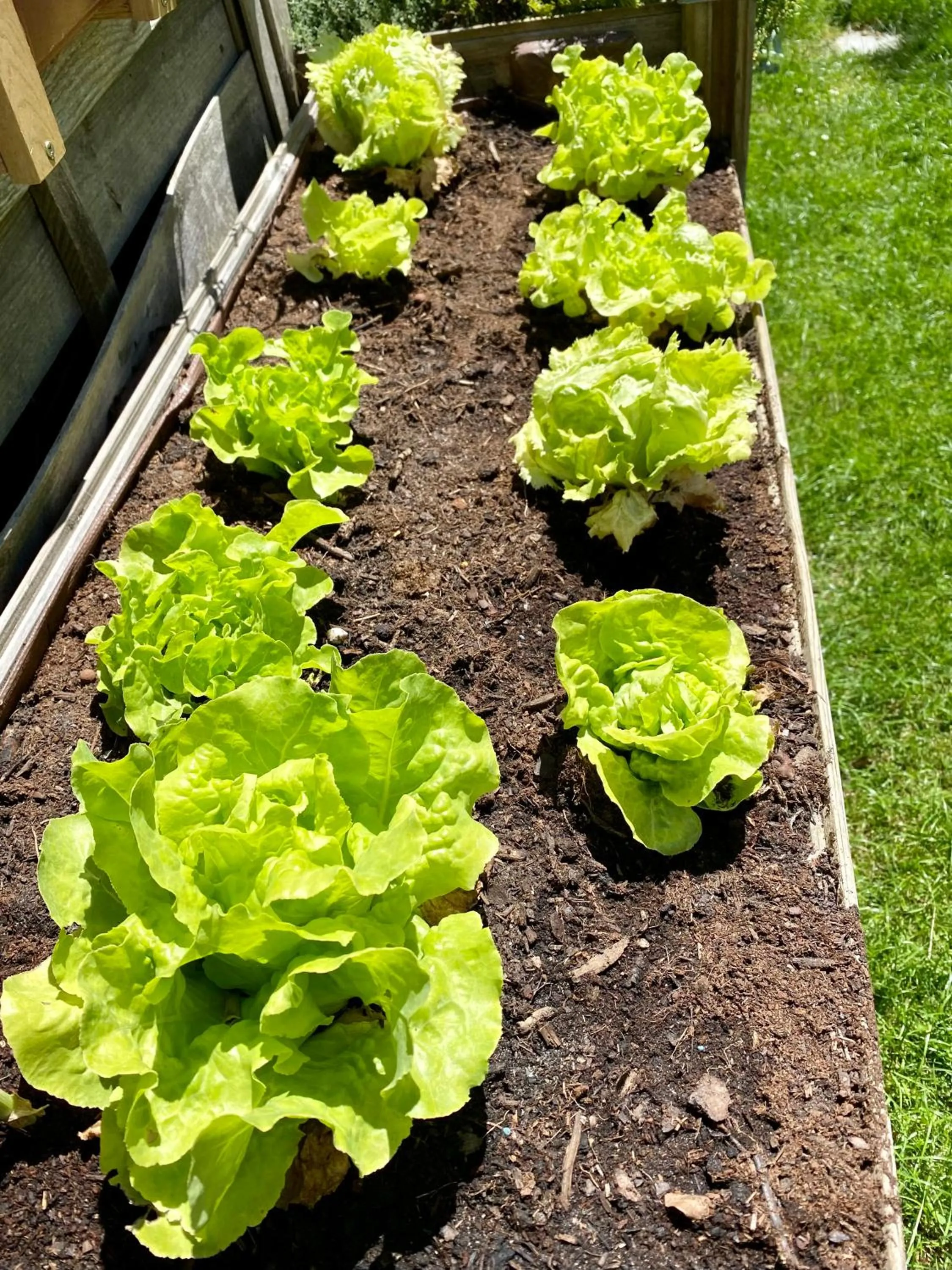 Garden in Chambres tout confort du Tilleul