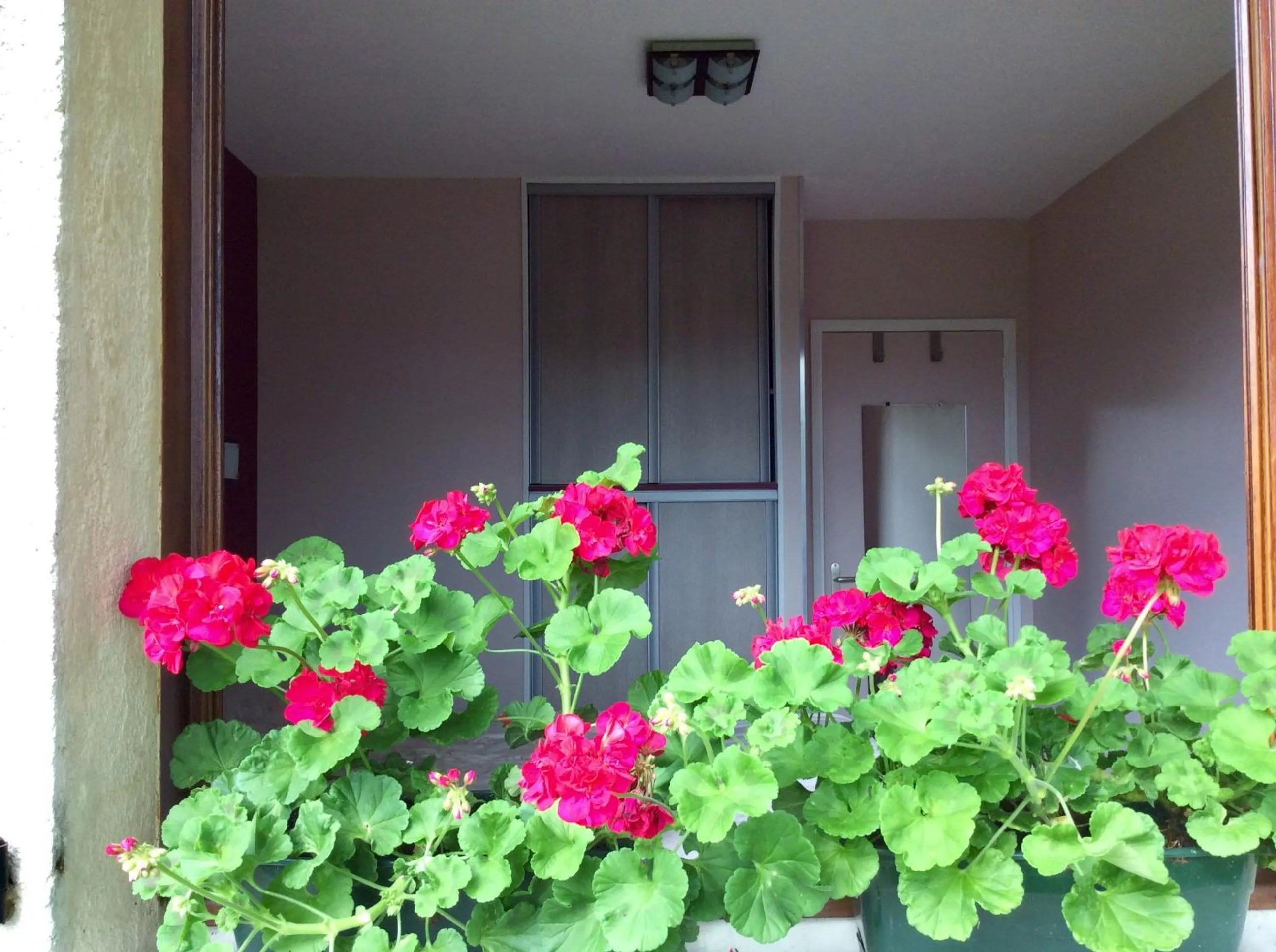 Garden view in Chambres tout confort du Tilleul