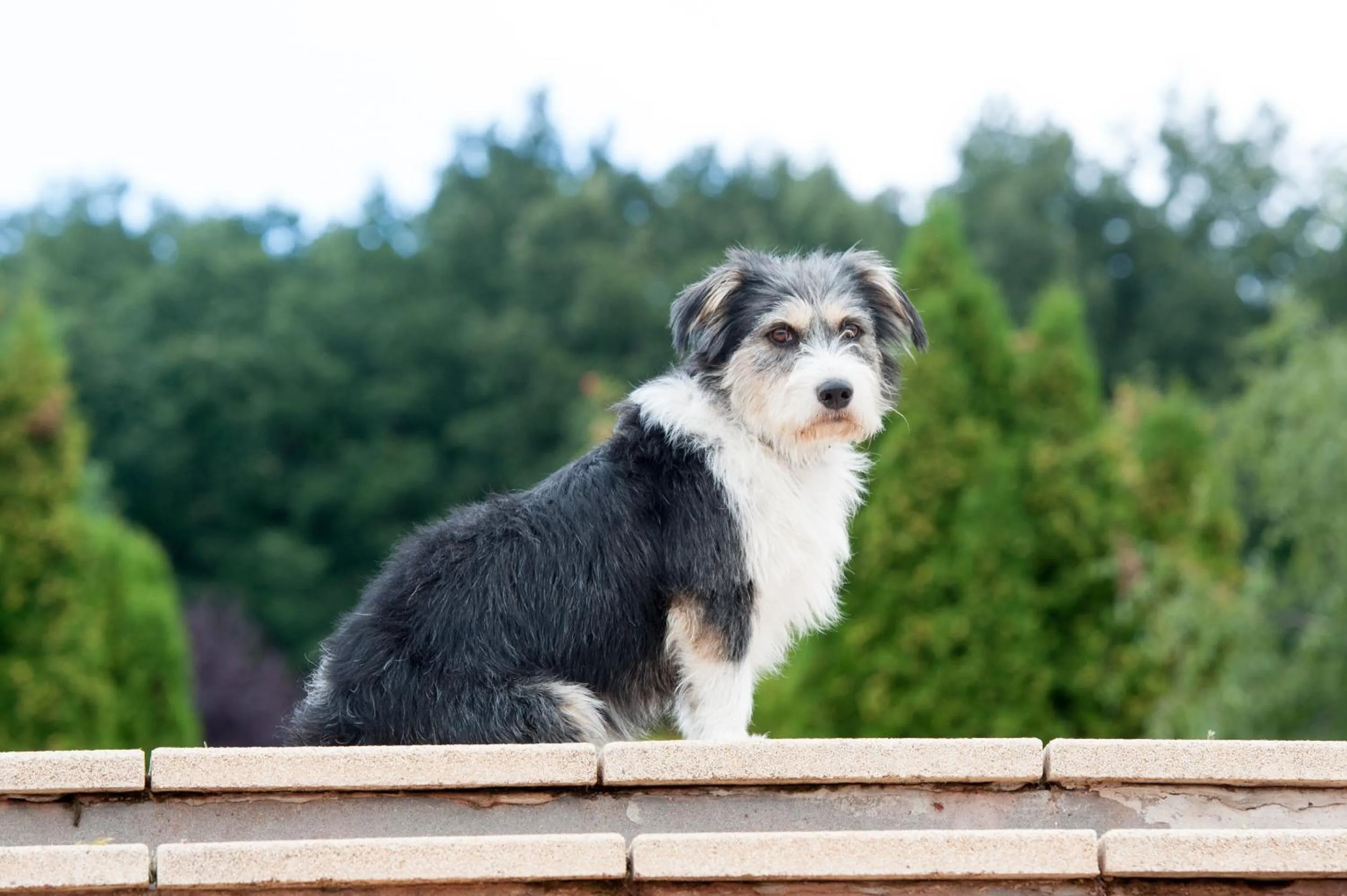 On site in Petneházy Aparthotel