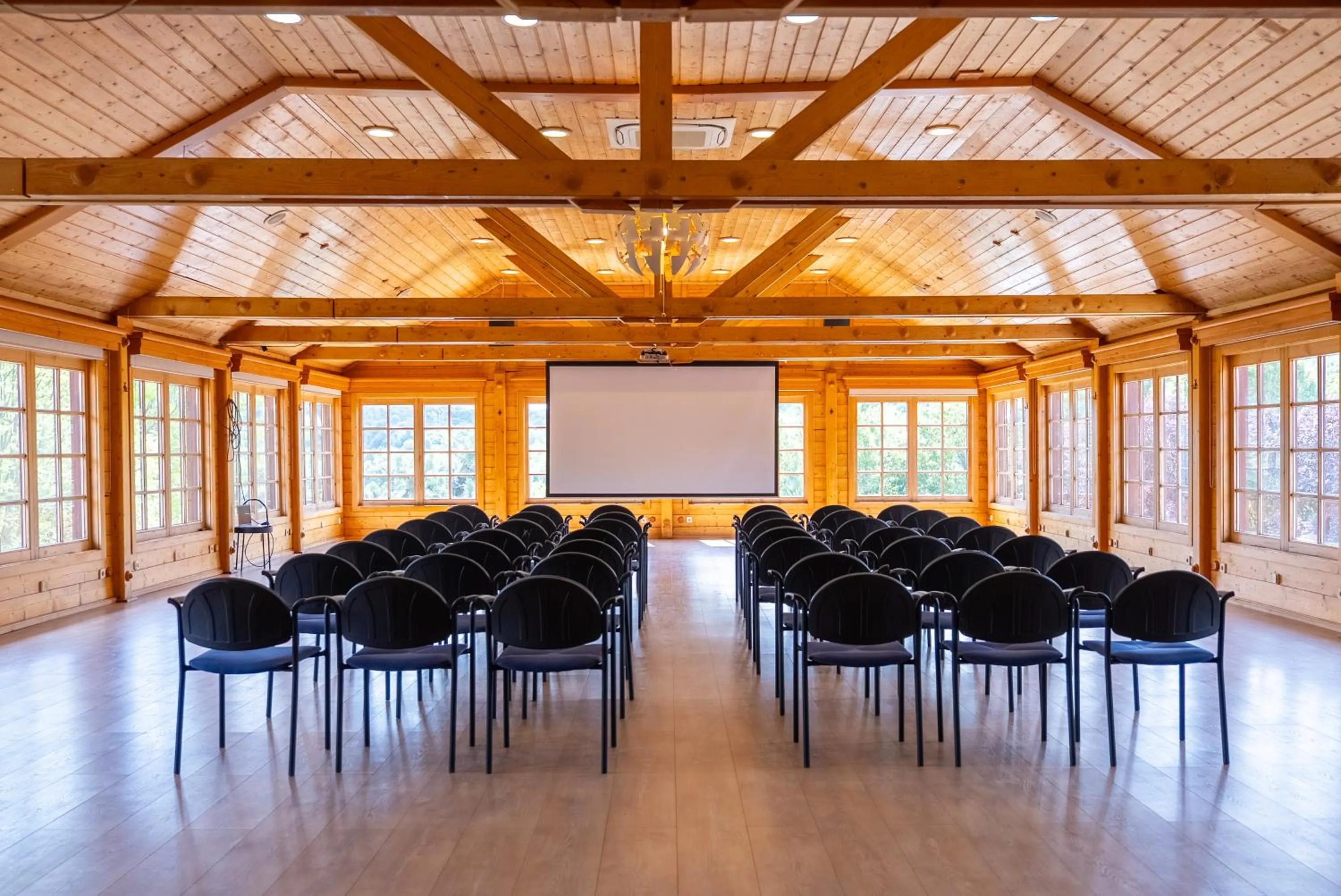 Meeting/conference room in Petneházy Aparthotel