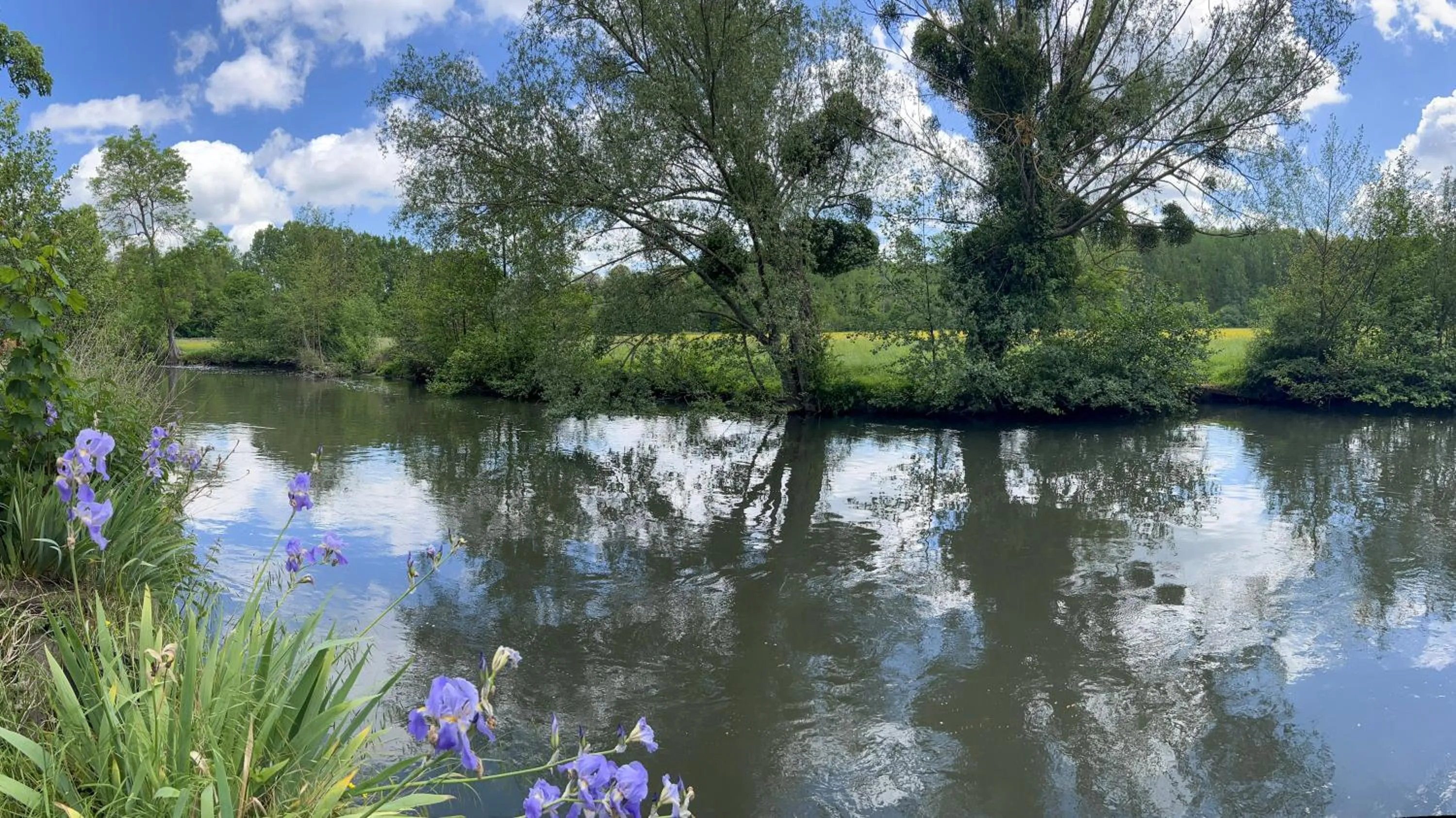 River view in Moulin de Fourges